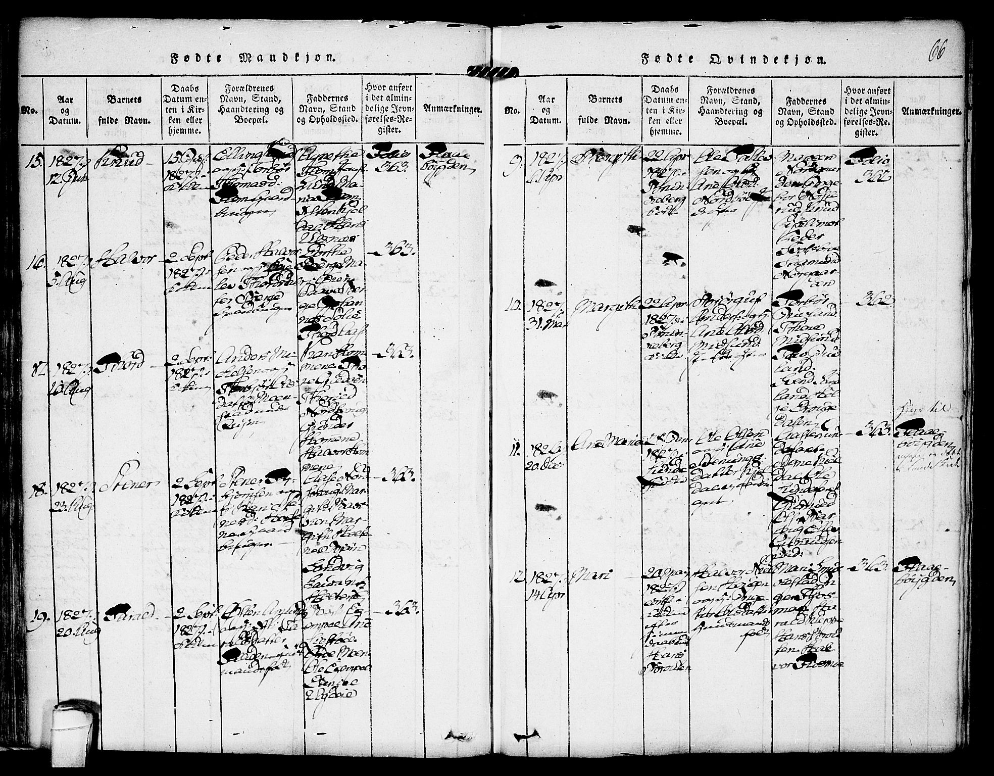 Kviteseid kirkebøker, SAKO/A-276/F/Fa/L0005: Parish register (official) no. I 5, 1815-1836, p. 66