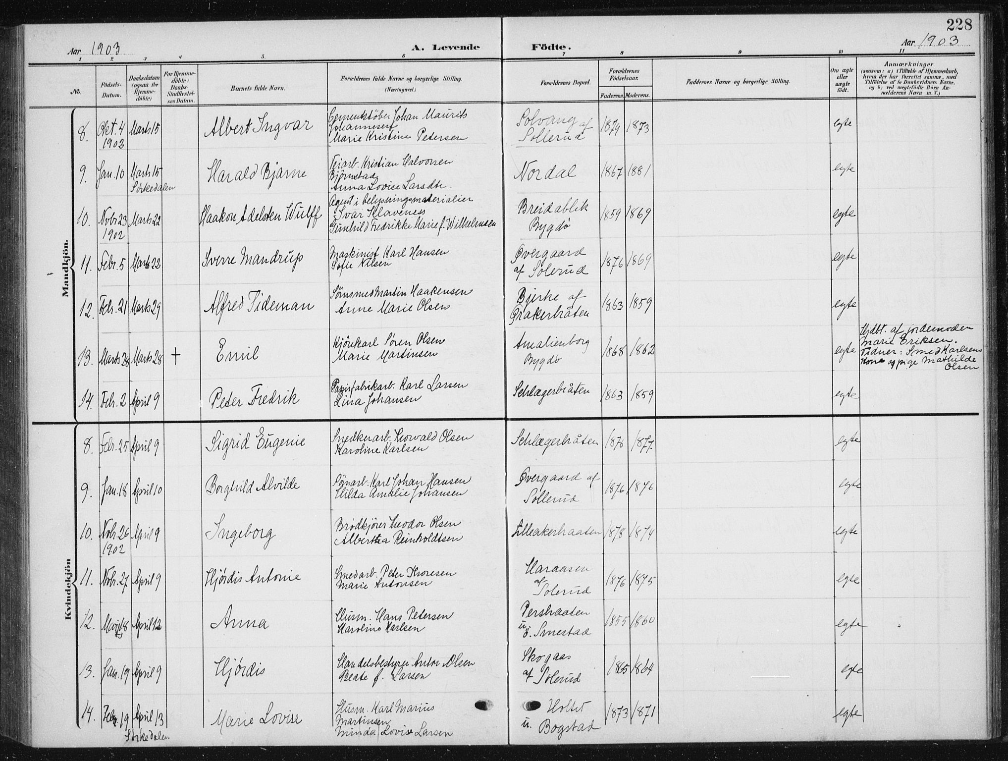 Vestre Aker prestekontor Kirkebøker, AV/SAO-A-10025/F/Fb/L0001: Parish register (official) no. II 1, 1880-1906, p. 228