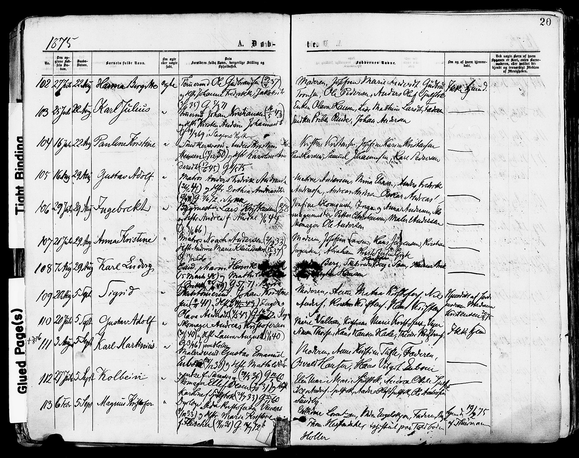 Tønsberg kirkebøker, AV/SAKO-A-330/F/Fa/L0010: Parish register (official) no. I 10, 1874-1880, p. 20