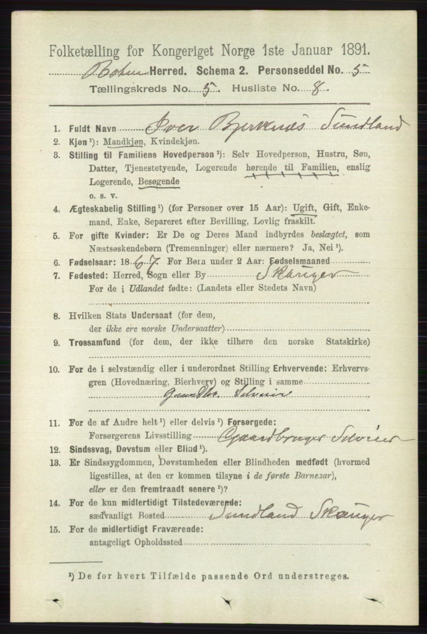 RA, 1891 census for 0715 Botne, 1891, p. 1999