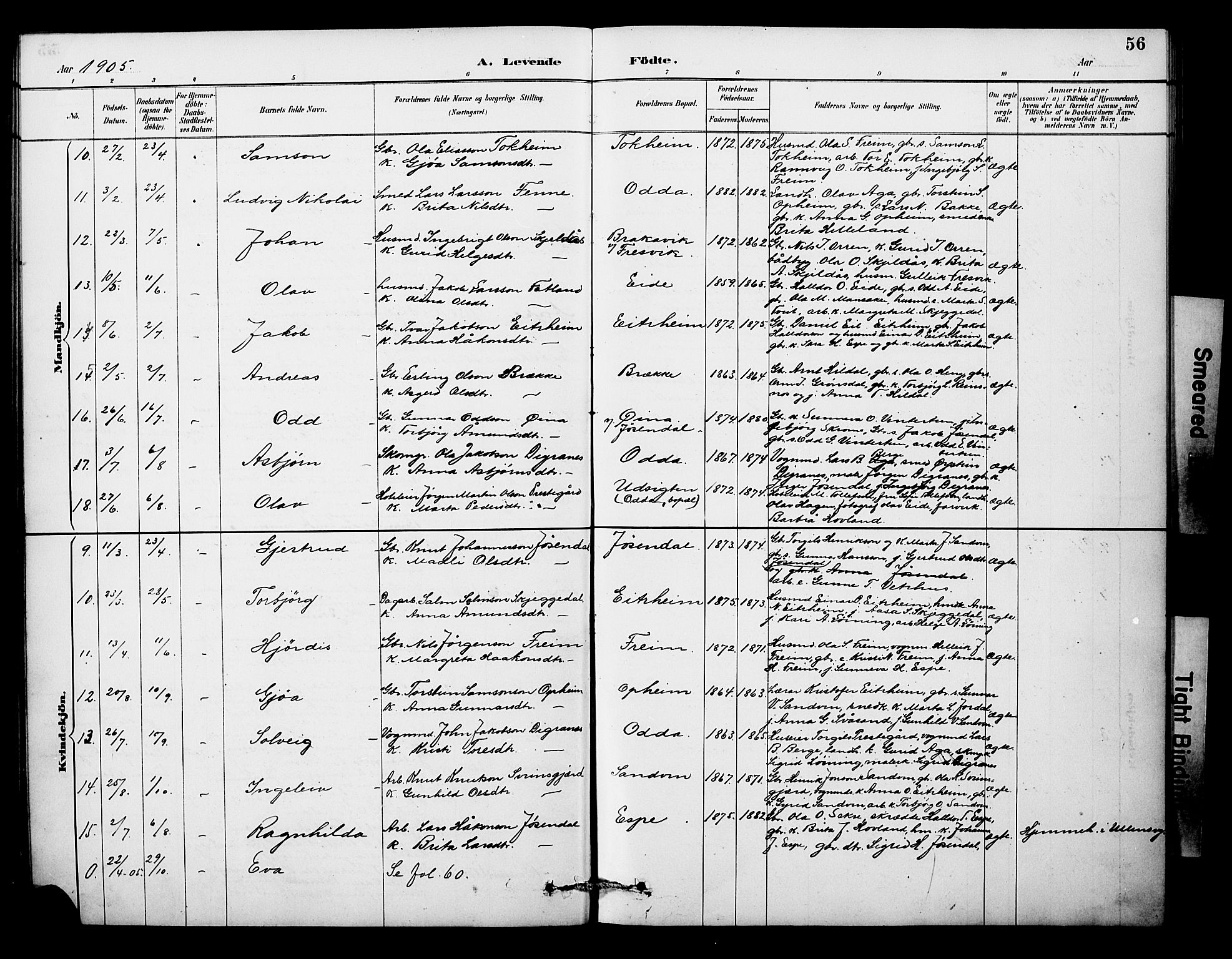 Odda Sokneprestembete, SAB/A-77201/H/Hab: Parish register (copy) no. A 7, 1887-1912, p. 56