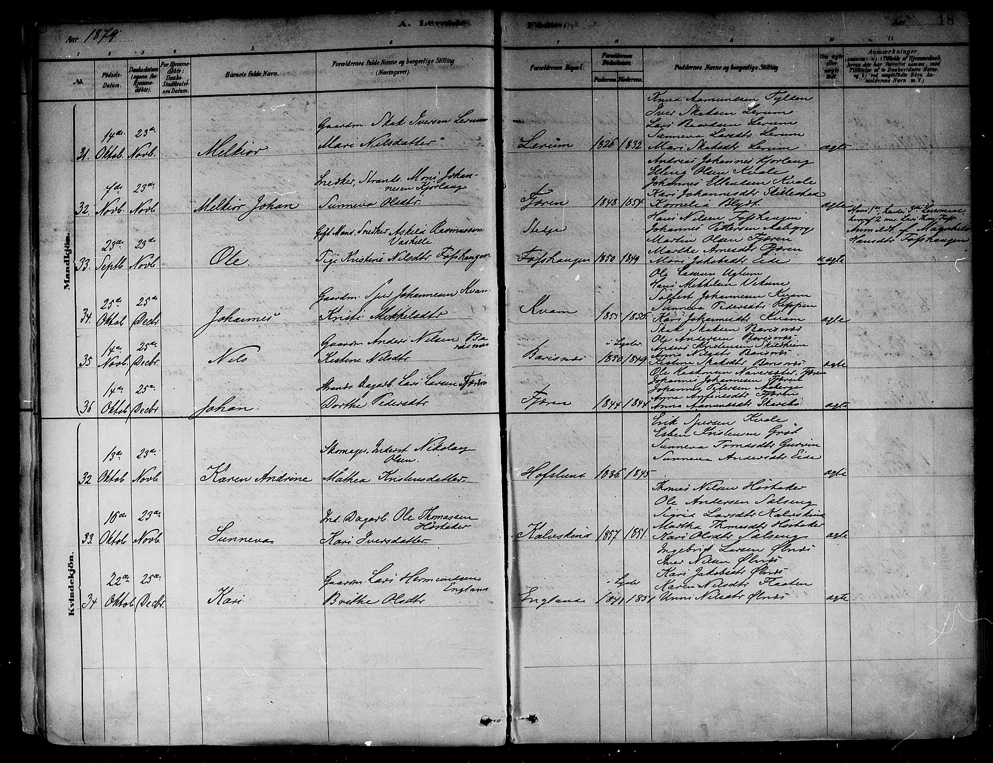 Sogndal sokneprestembete, AV/SAB-A-81301/H/Haa/Haab/L0001: Parish register (official) no. B 1, 1878-1899, p. 18