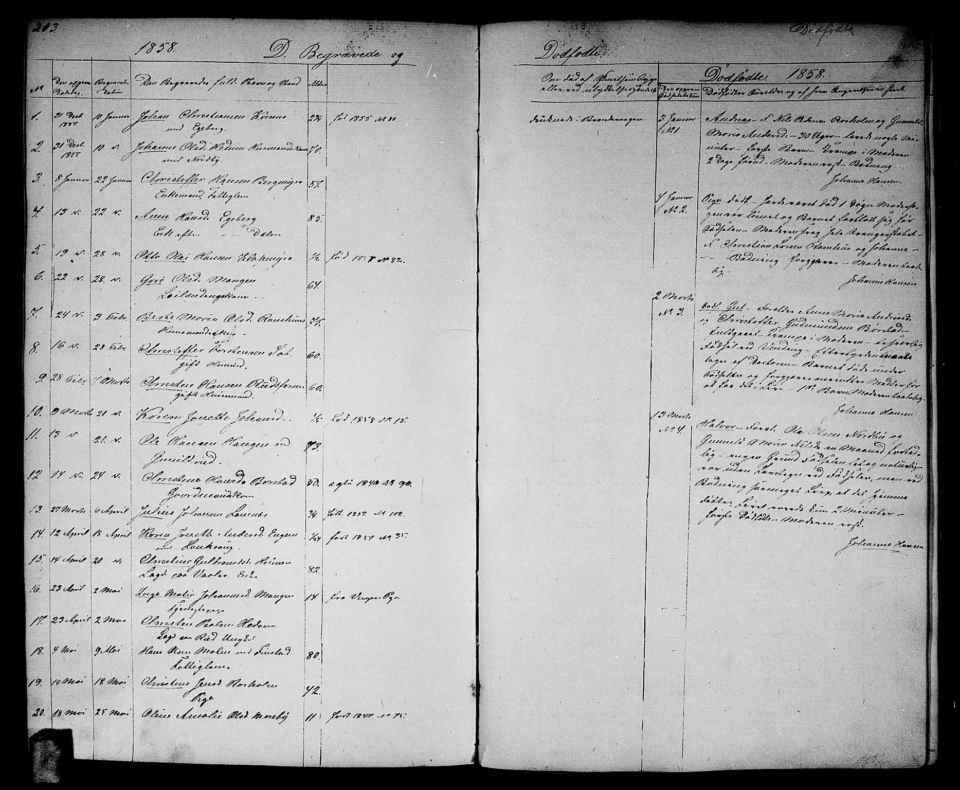 Aurskog prestekontor Kirkebøker, SAO/A-10304a/G/Ga/L0003: Parish register (copy) no. I 3, 1858-1883, p. 213