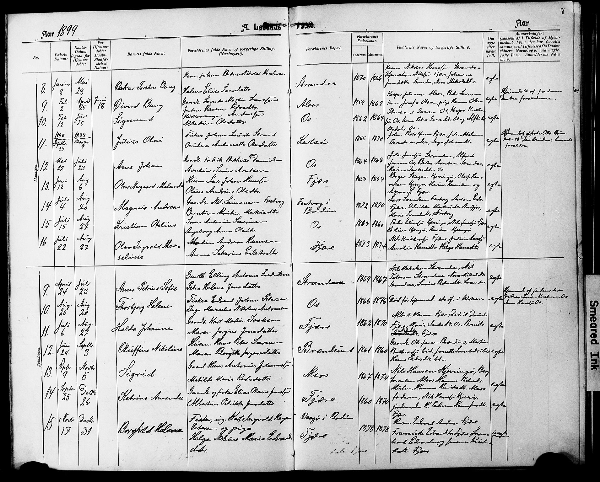 Ministerialprotokoller, klokkerbøker og fødselsregistre - Nordland, SAT/A-1459/803/L0077: Parish register (copy) no. 803C04, 1897-1930, p. 7
