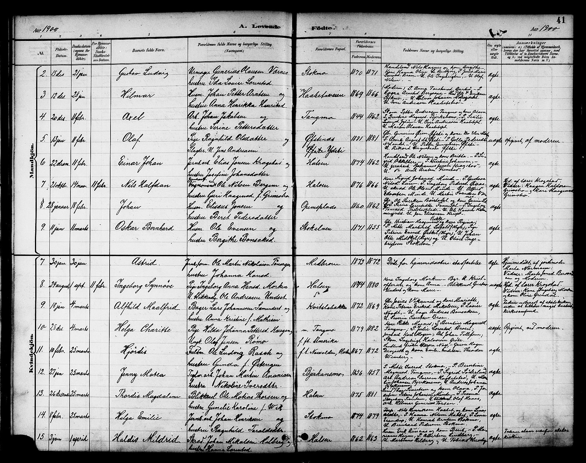 Ministerialprotokoller, klokkerbøker og fødselsregistre - Nord-Trøndelag, SAT/A-1458/709/L0087: Parish register (copy) no. 709C01, 1892-1913, p. 41
