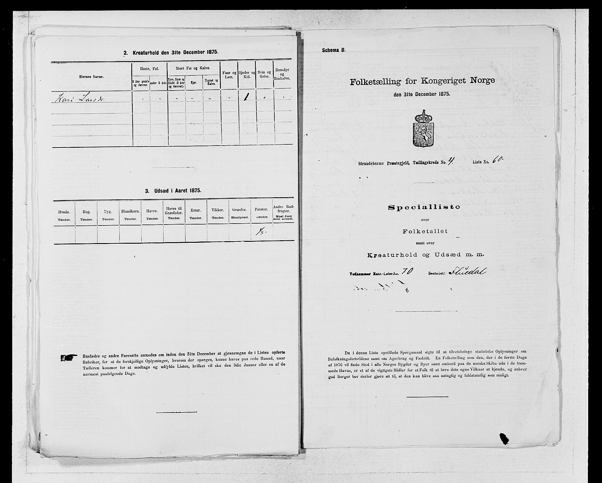 SAB, 1875 census for 1226P Strandebarm, 1875, p. 656