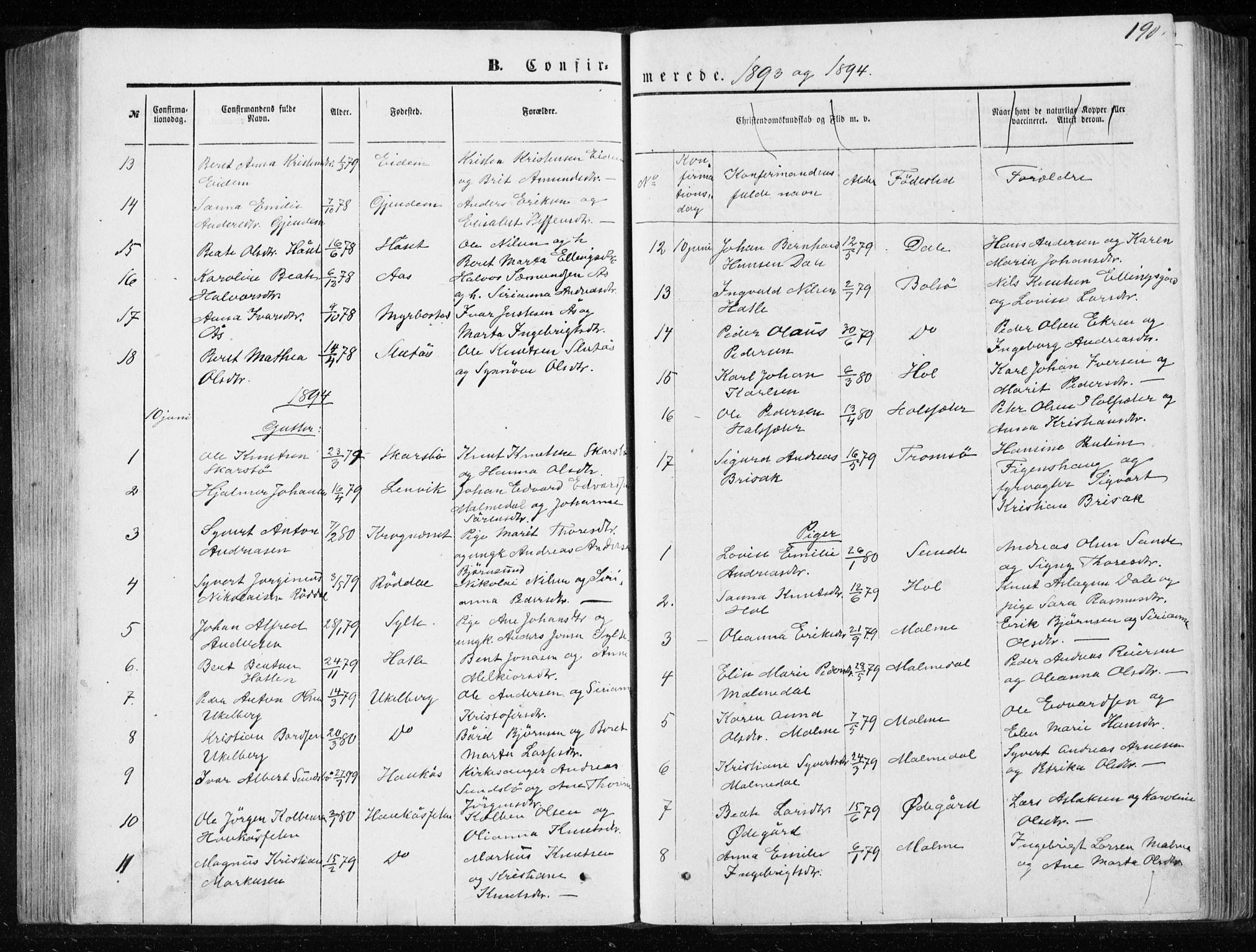 Ministerialprotokoller, klokkerbøker og fødselsregistre - Møre og Romsdal, SAT/A-1454/565/L0754: Parish register (copy) no. 565C03, 1870-1896, p. 190