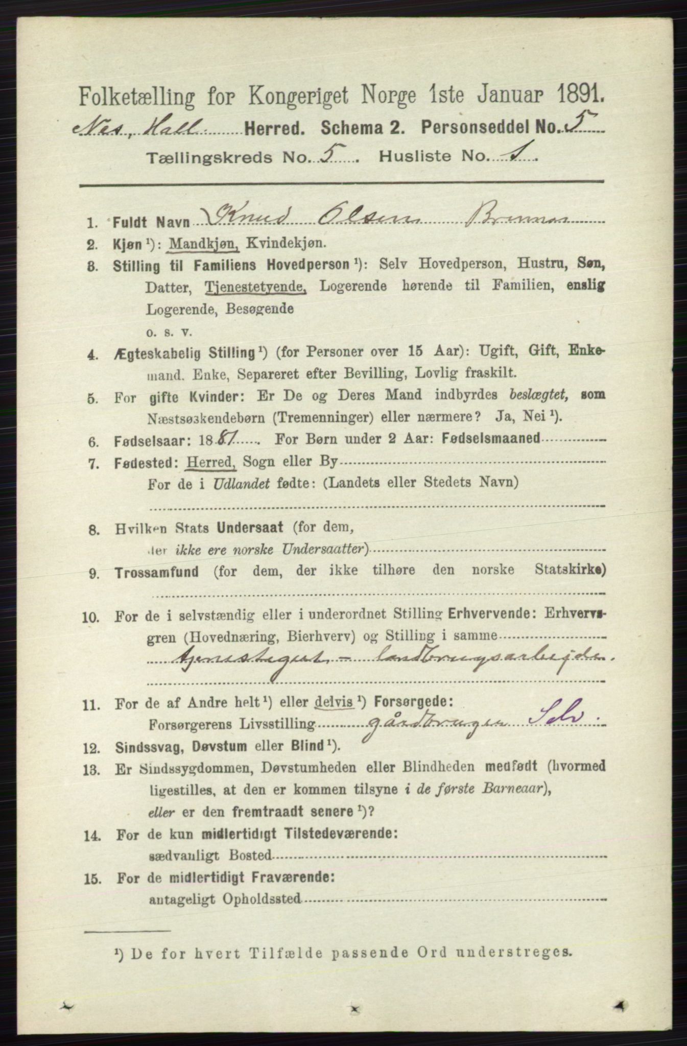 RA, 1891 census for 0616 Nes, 1891, p. 2640