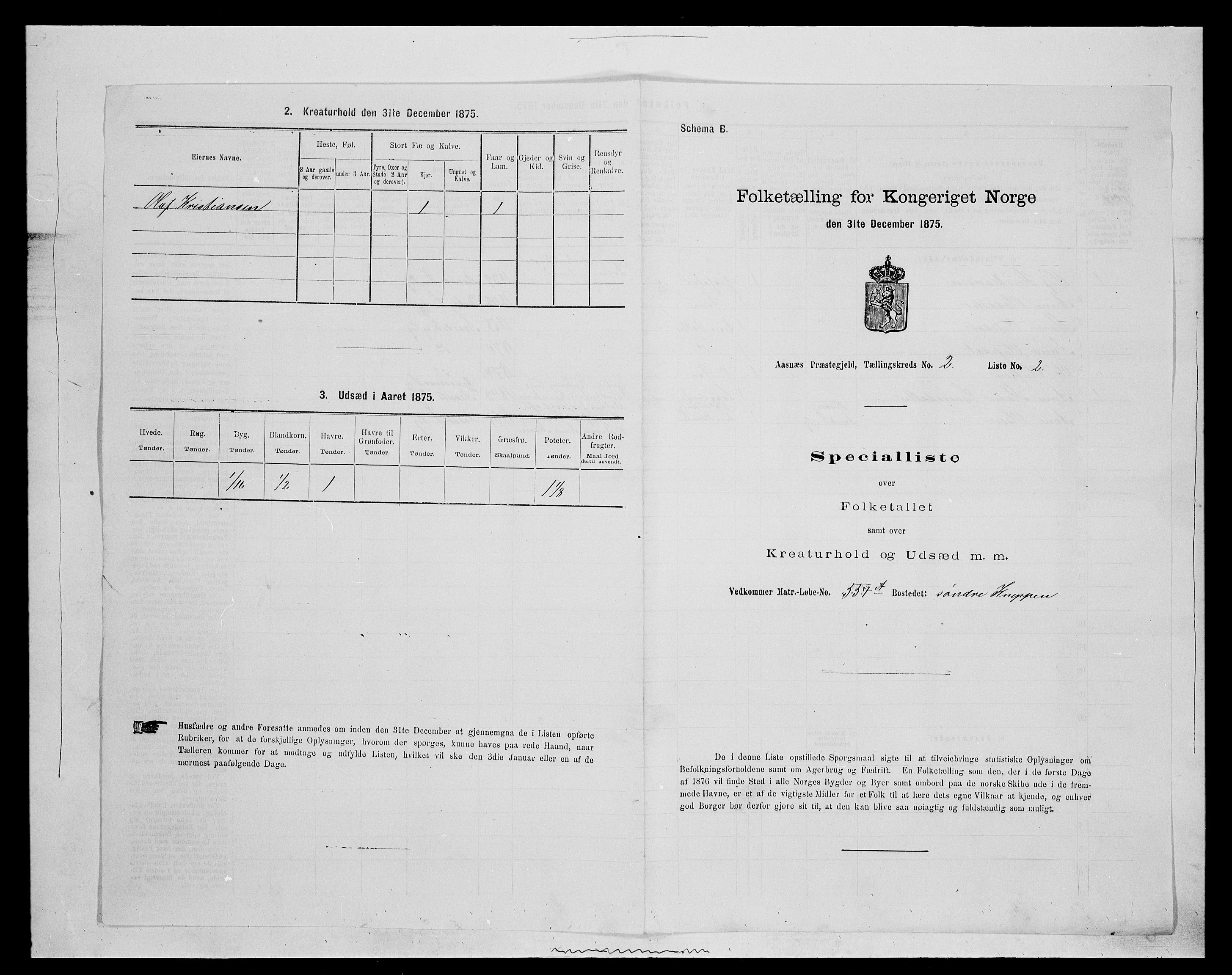 SAH, 1875 census for 0425P Åsnes, 1875, p. 153