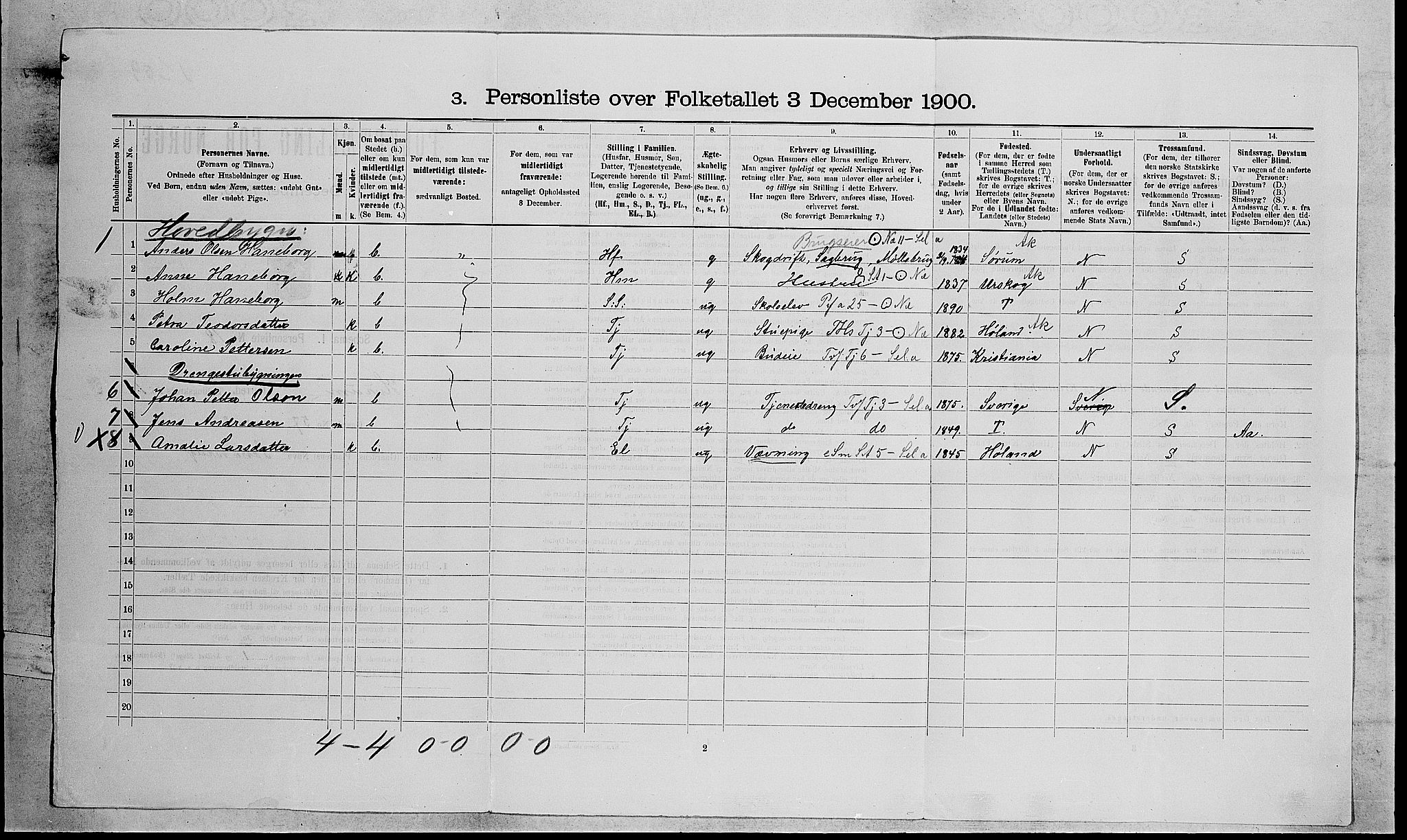 RA, 1900 census for Hurum, 1900, p. 113