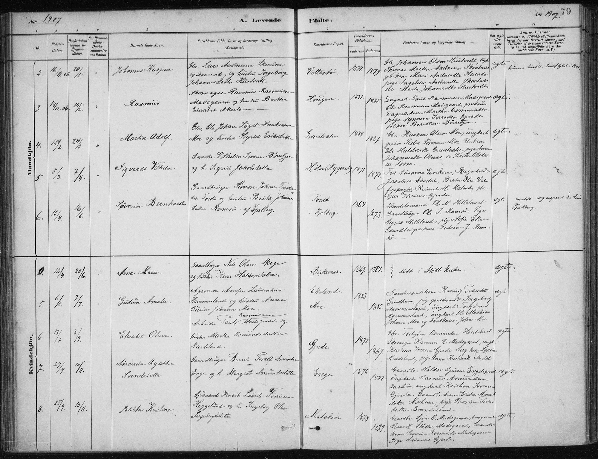 Etne sokneprestembete, AV/SAB-A-75001/H/Haa: Parish register (official) no. C  1, 1879-1919, p. 79