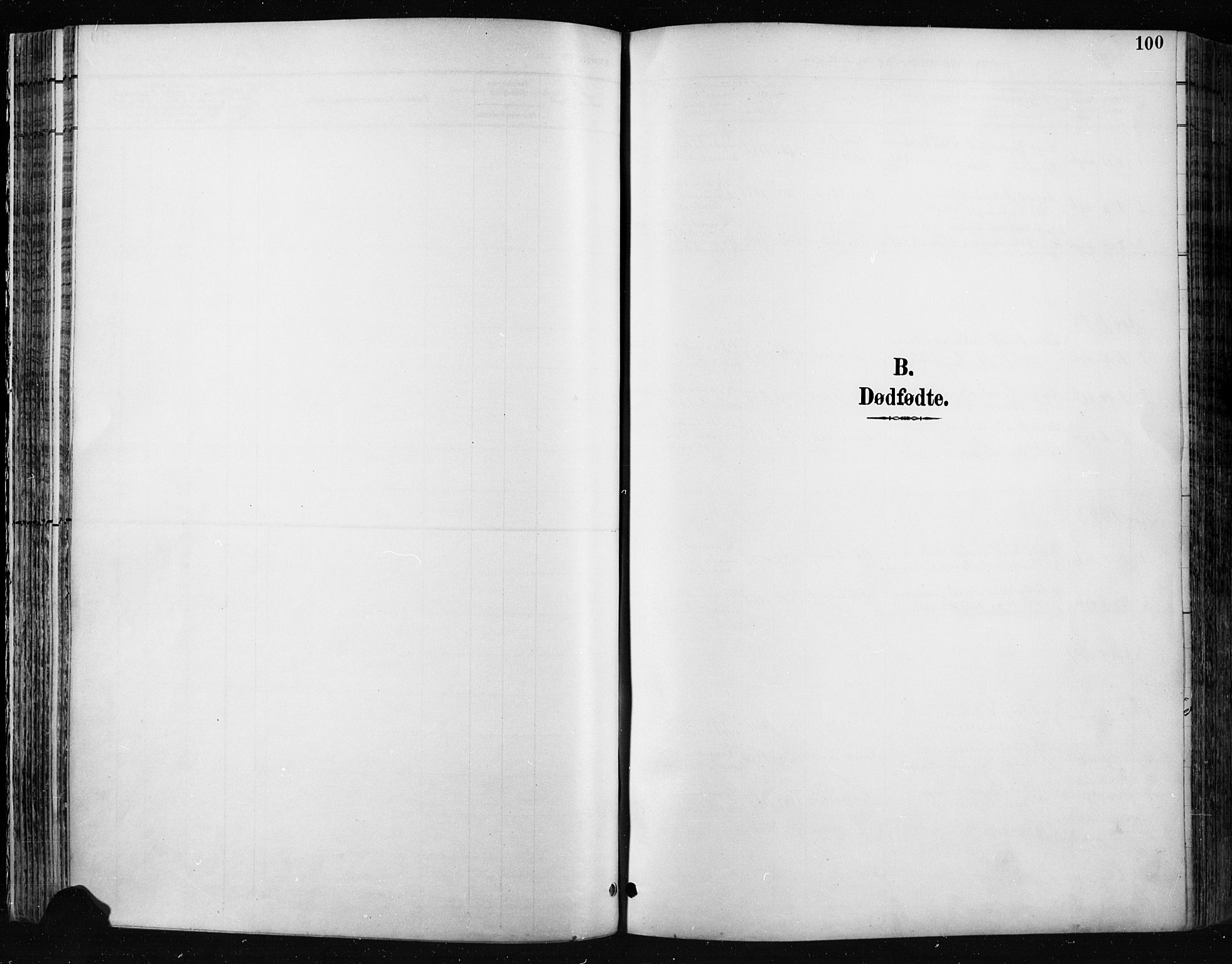 Jevnaker prestekontor, AV/SAH-PREST-116/H/Ha/Haa/L0009: Parish register (official) no. 9, 1891-1901, p. 100