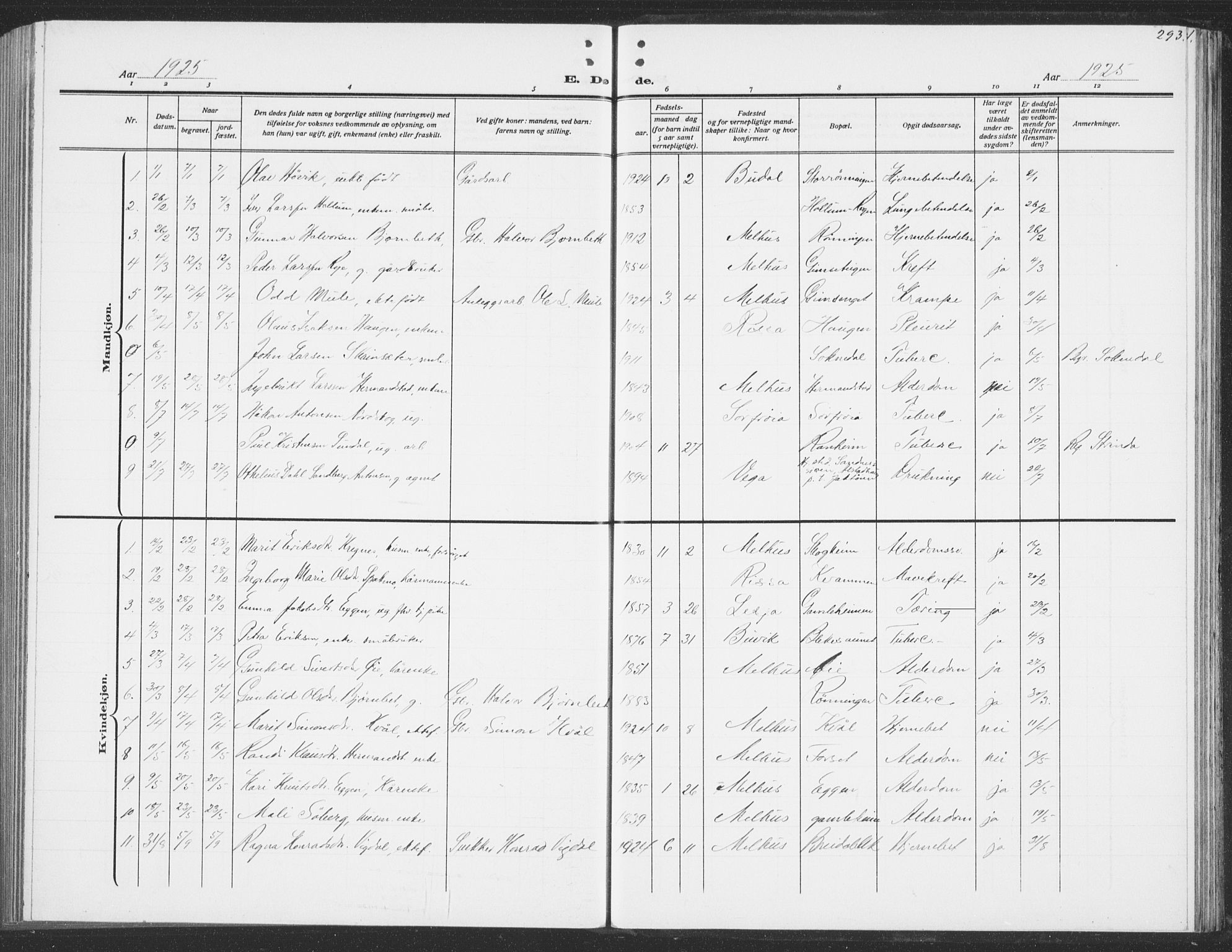 Ministerialprotokoller, klokkerbøker og fødselsregistre - Sør-Trøndelag, SAT/A-1456/691/L1095: Parish register (copy) no. 691C06, 1912-1933, p. 293
