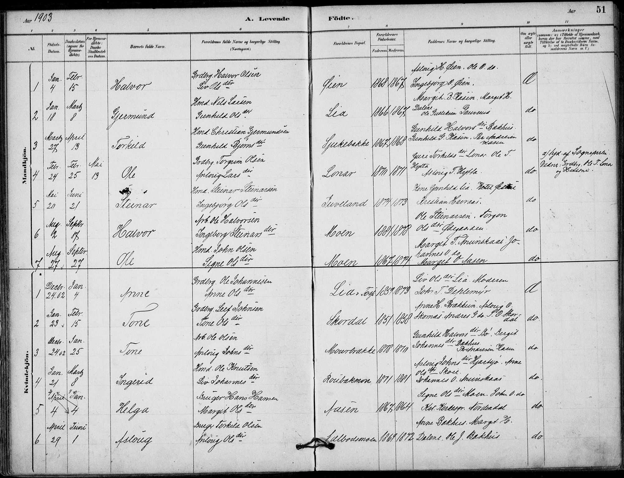 Hjartdal kirkebøker, SAKO/A-270/F/Fb/L0002: Parish register (official) no. II 2, 1880-1932, p. 51