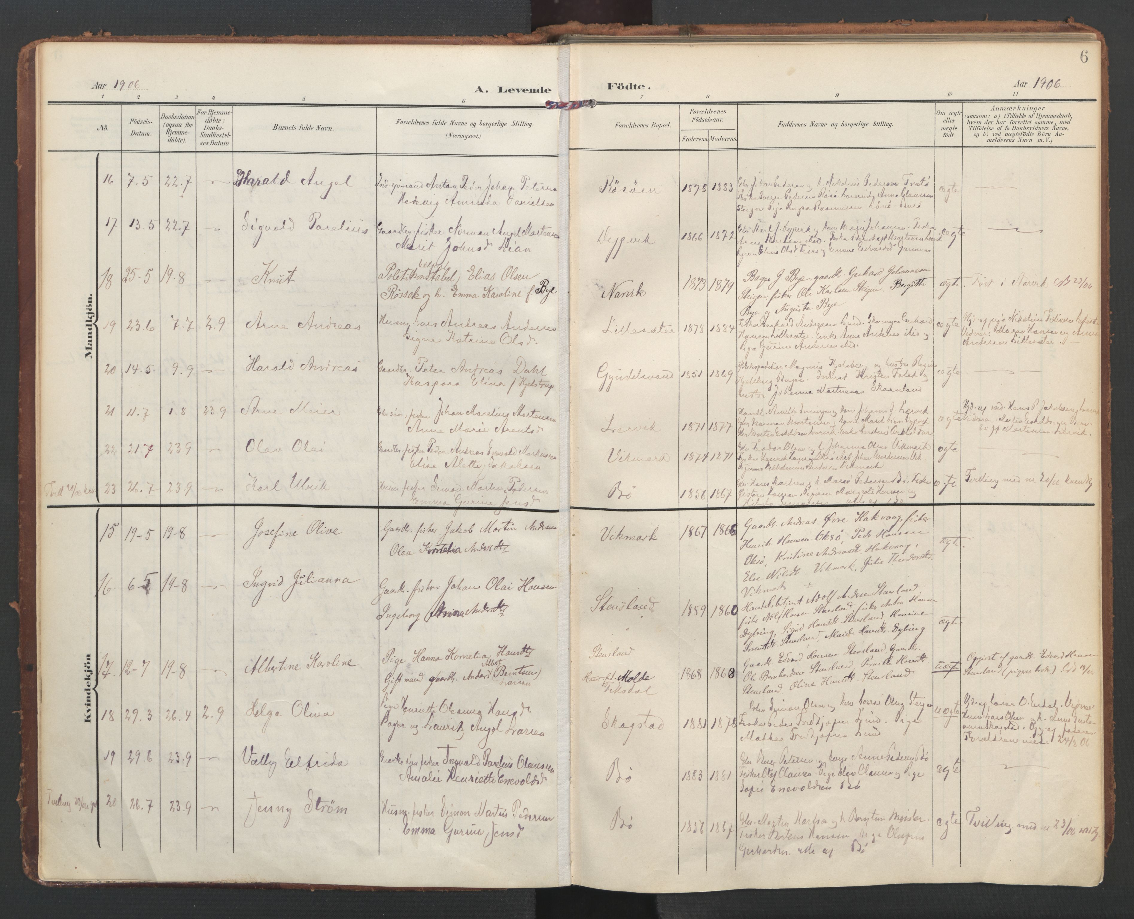 Ministerialprotokoller, klokkerbøker og fødselsregistre - Nordland, AV/SAT-A-1459/855/L0805: Parish register (official) no. 855A13, 1906-1920, p. 6