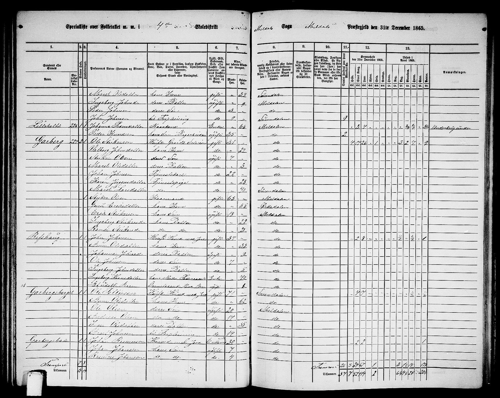 RA, 1865 census for Meldal, 1865, p. 102