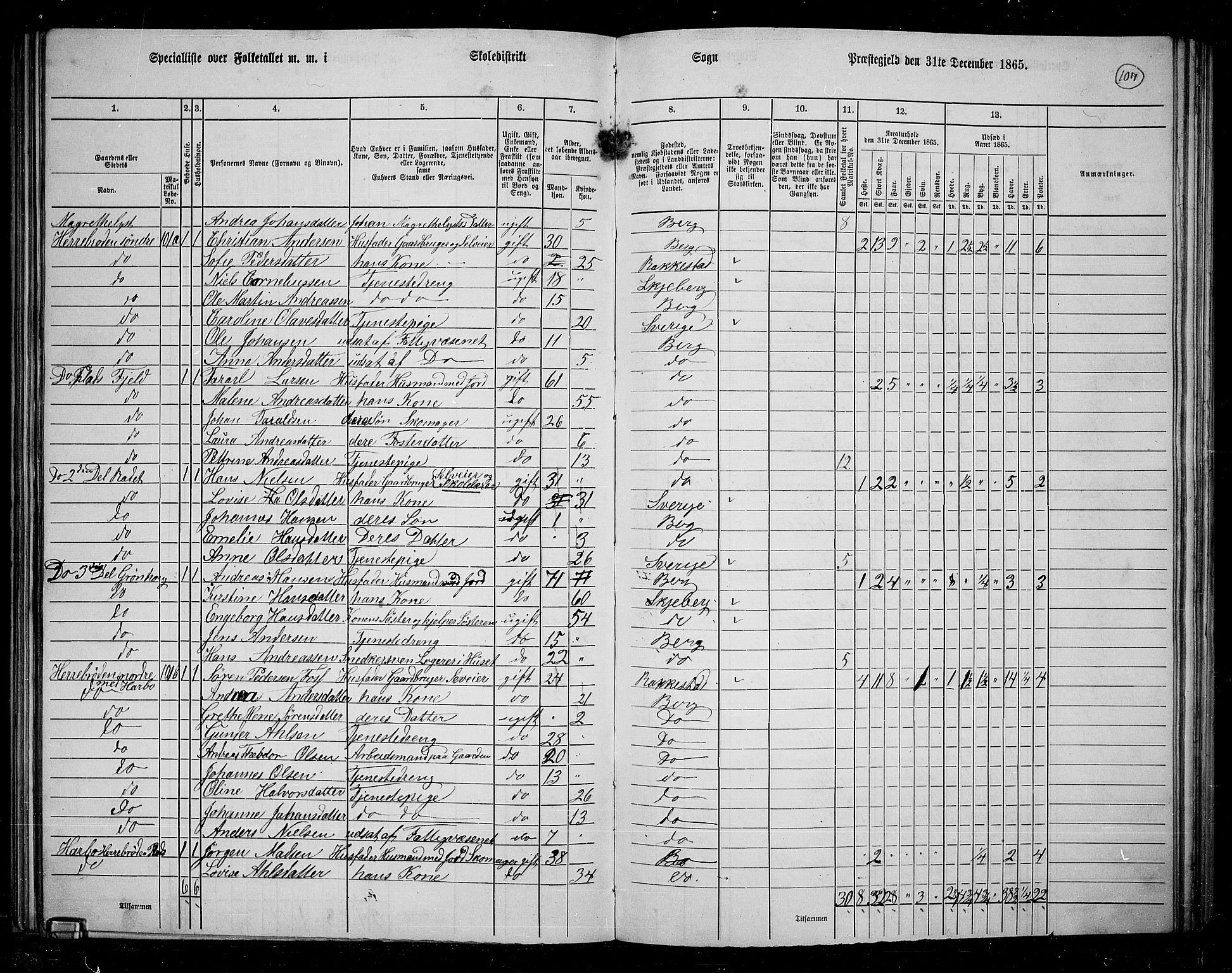 RA, 1865 census for Berg, 1865, p. 96