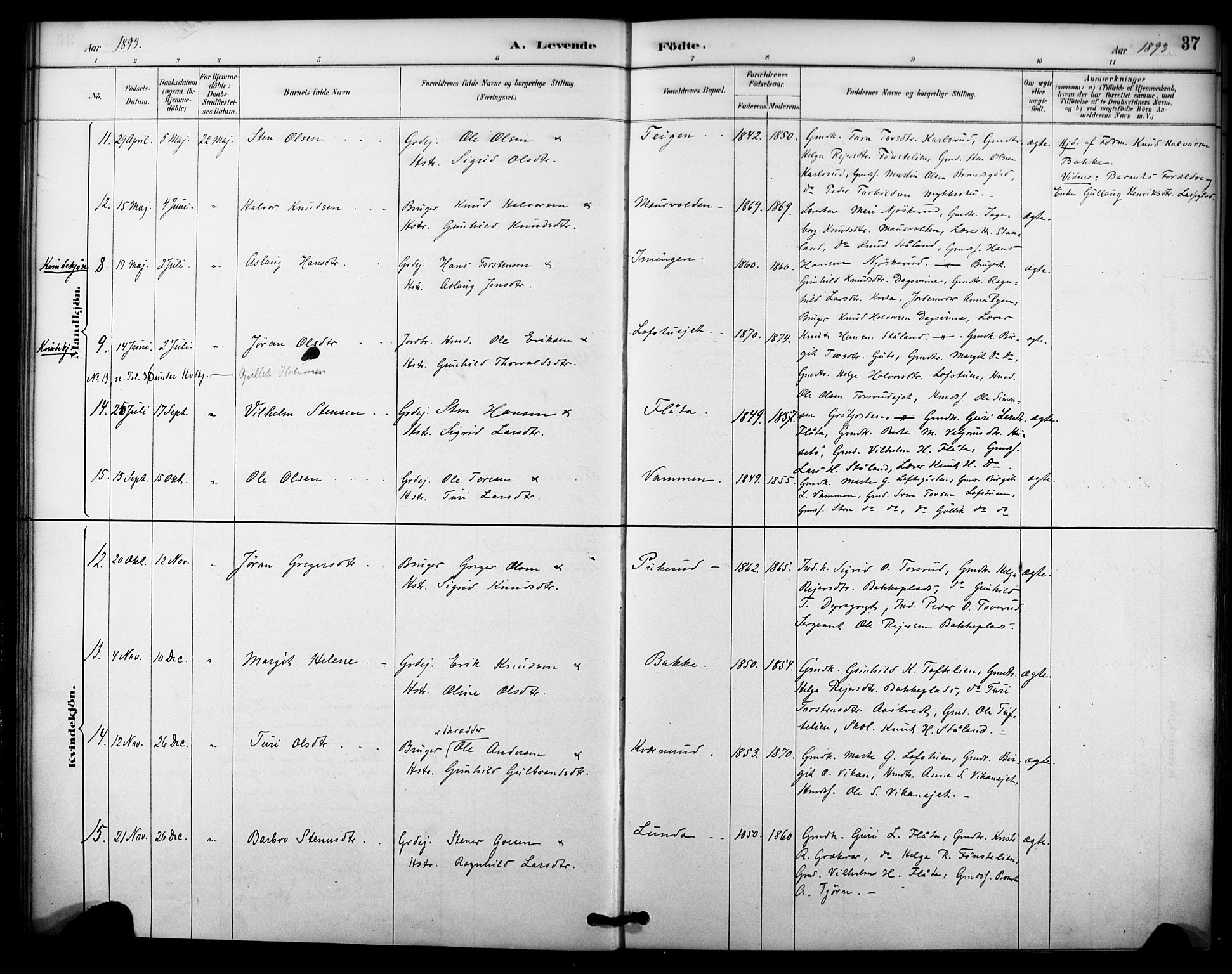 Nore kirkebøker, AV/SAKO-A-238/F/Fc/L0004: Parish register (official) no. III 4, 1885-1898, p. 37