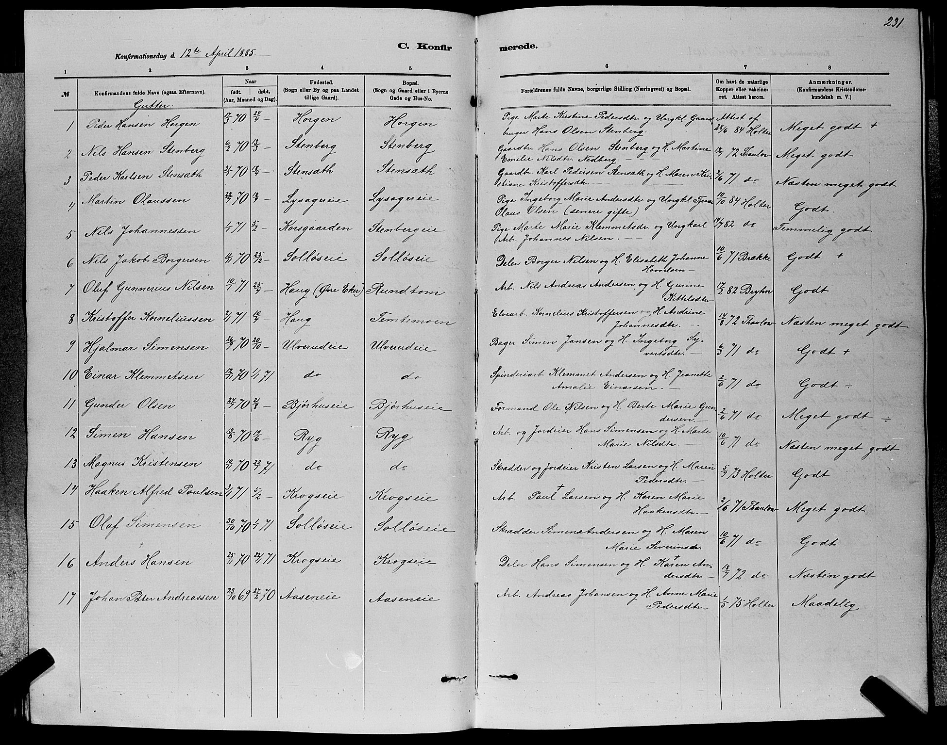 Nedre Eiker kirkebøker, AV/SAKO-A-612/G/Ga/L0002: Parish register (copy) no. 2, 1880-1896, p. 231