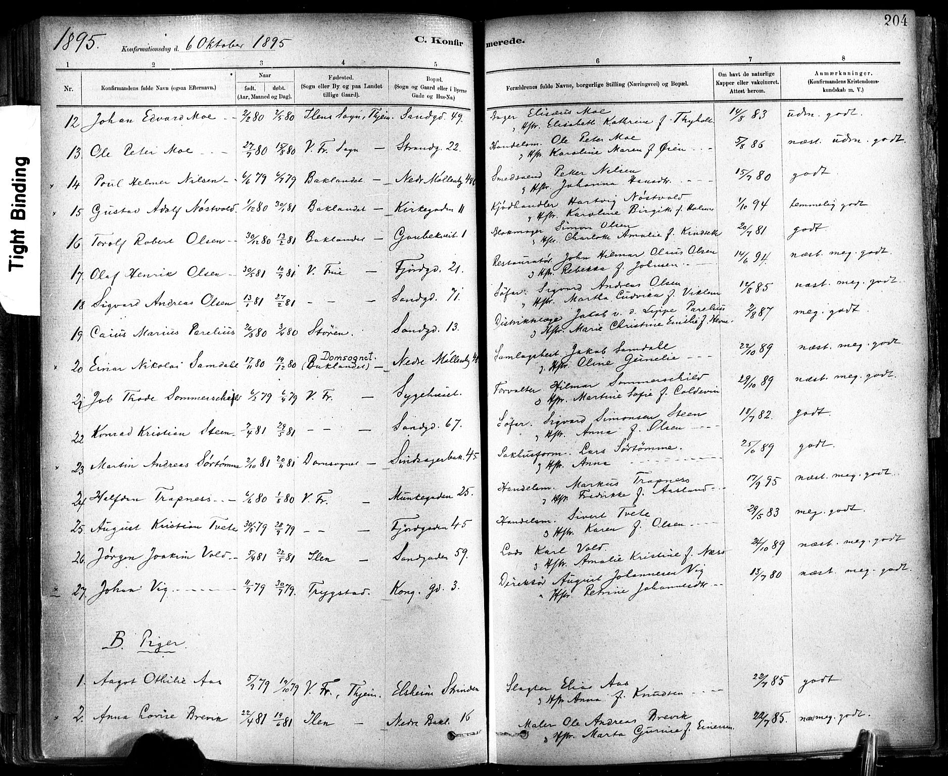 Ministerialprotokoller, klokkerbøker og fødselsregistre - Sør-Trøndelag, SAT/A-1456/602/L0119: Parish register (official) no. 602A17, 1880-1901, p. 204