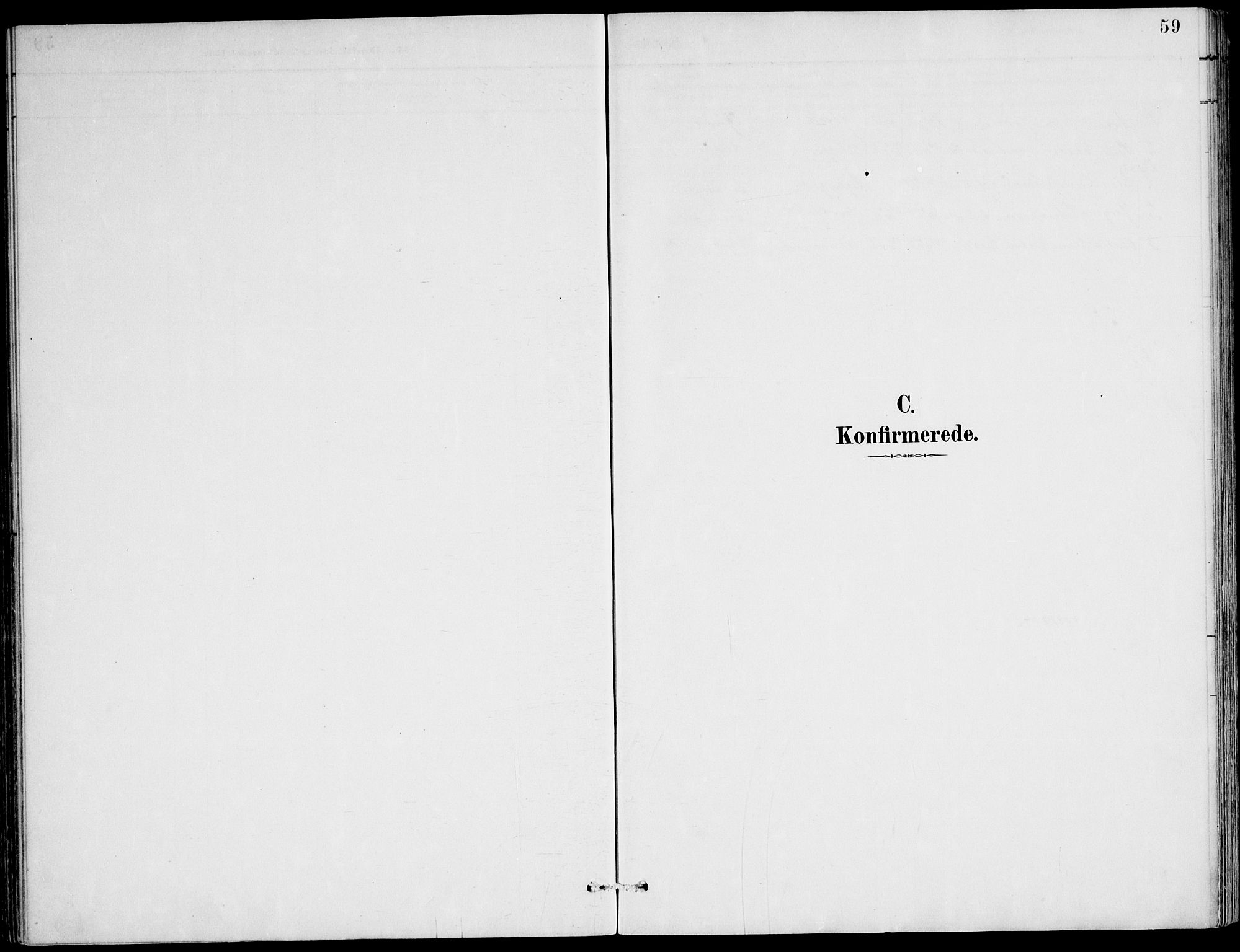 Ministerialprotokoller, klokkerbøker og fødselsregistre - Møre og Romsdal, AV/SAT-A-1454/508/L0095: Parish register (official) no. 508A02, 1887-1920, p. 59