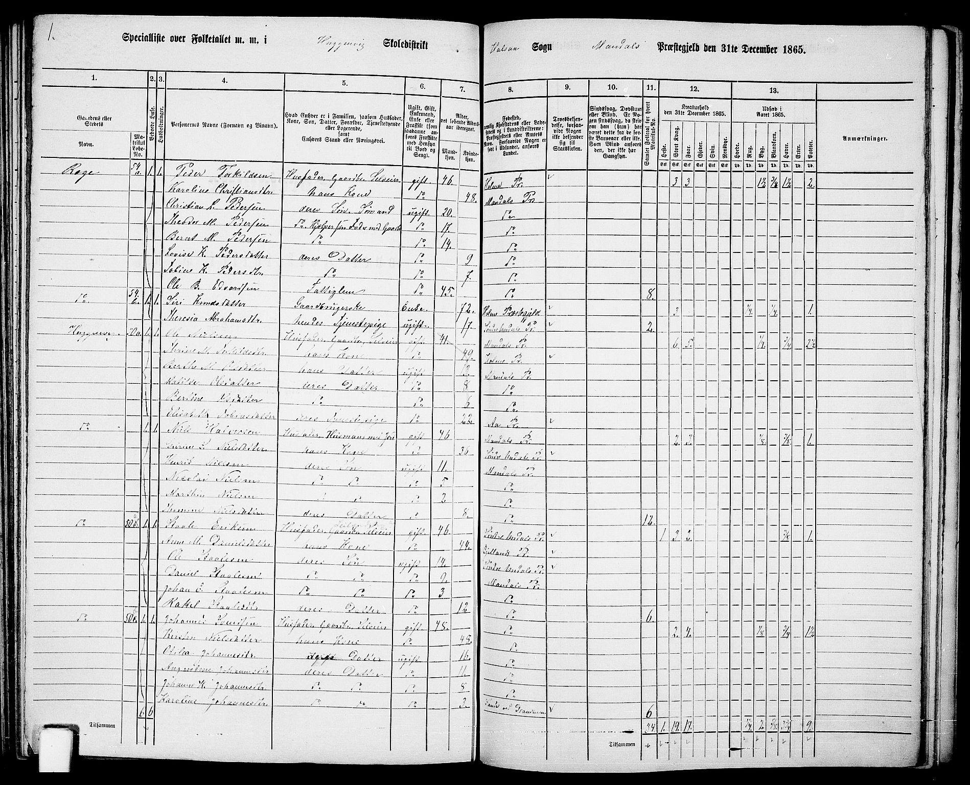 RA, 1865 census for Mandal/Halse og Harkmark, 1865, p. 97