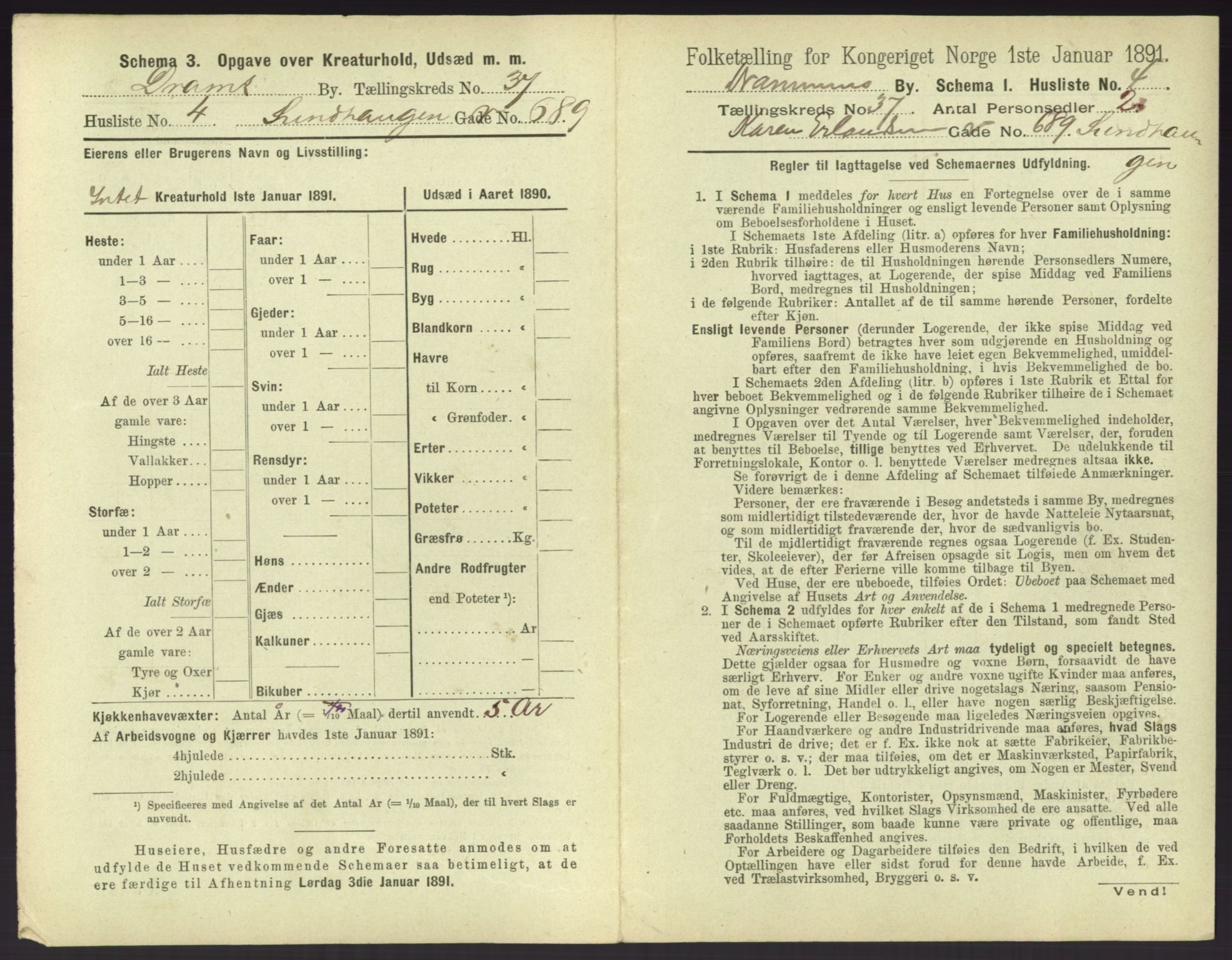 RA, 1891 census for 0602 Drammen, 1891, p. 3367