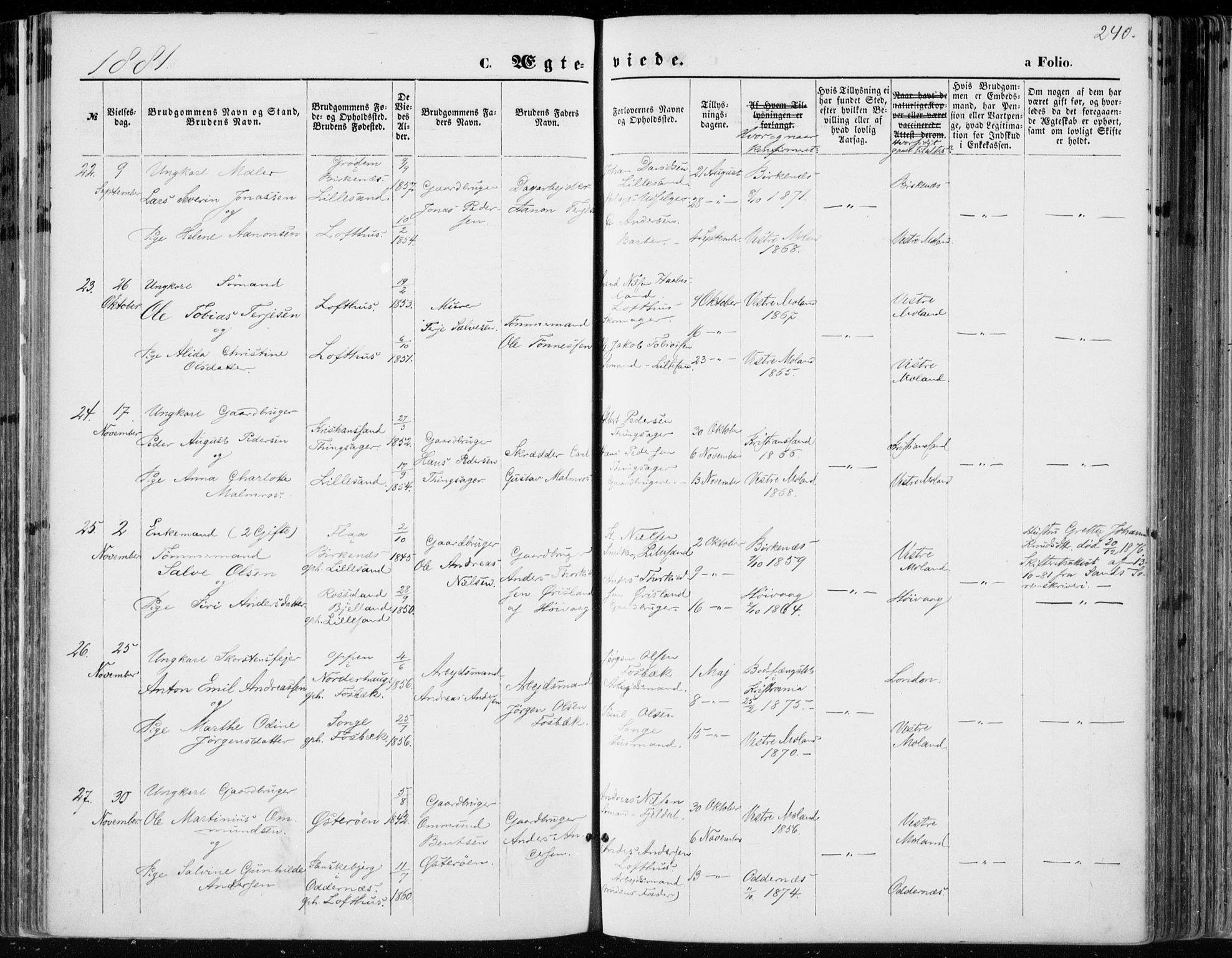 Vestre Moland sokneprestkontor, AV/SAK-1111-0046/F/Fa/Fab/L0008: Parish register (official) no. A 8, 1873-1883, p. 240