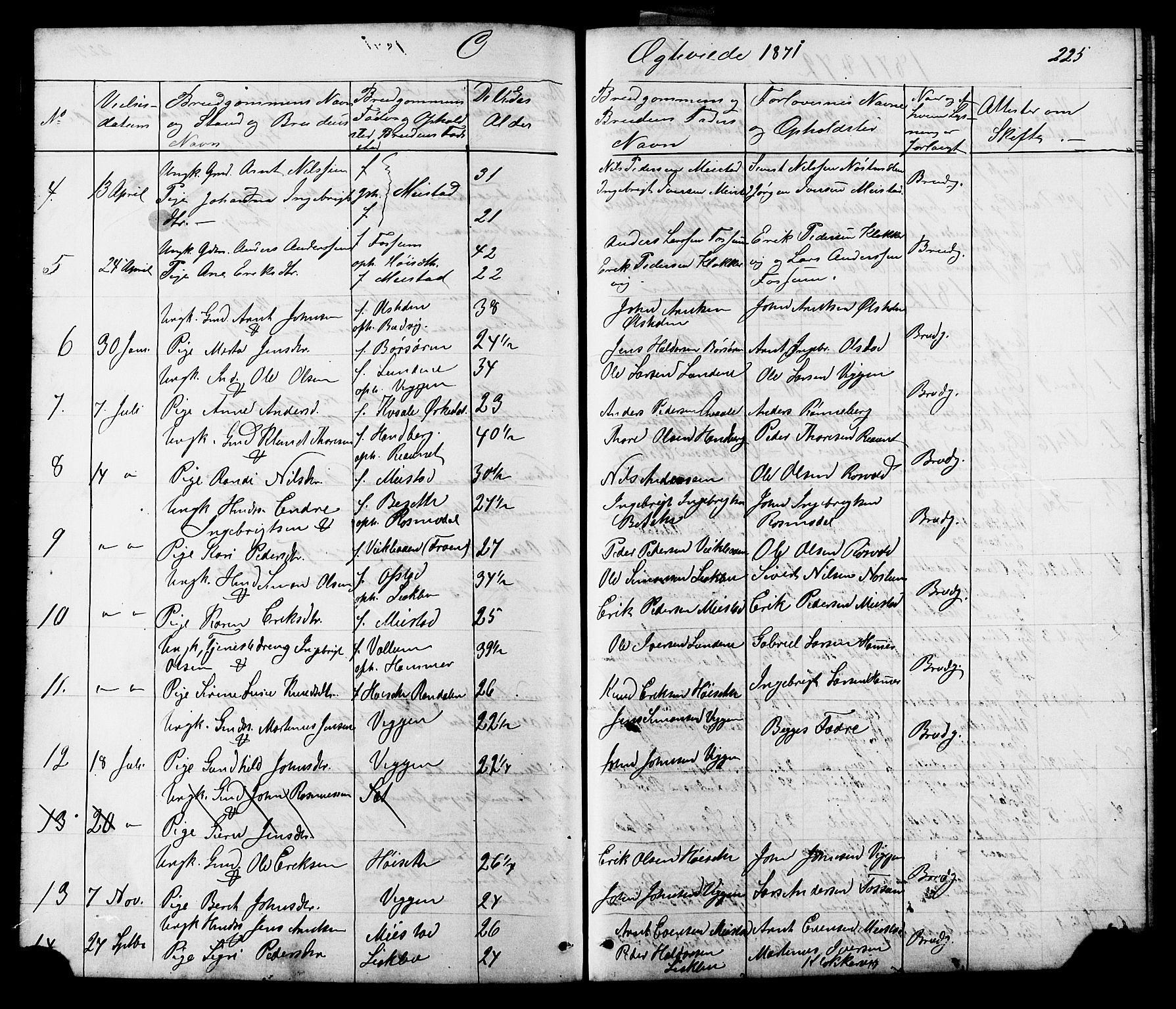 Ministerialprotokoller, klokkerbøker og fødselsregistre - Sør-Trøndelag, SAT/A-1456/665/L0777: Parish register (copy) no. 665C02, 1867-1915, p. 225