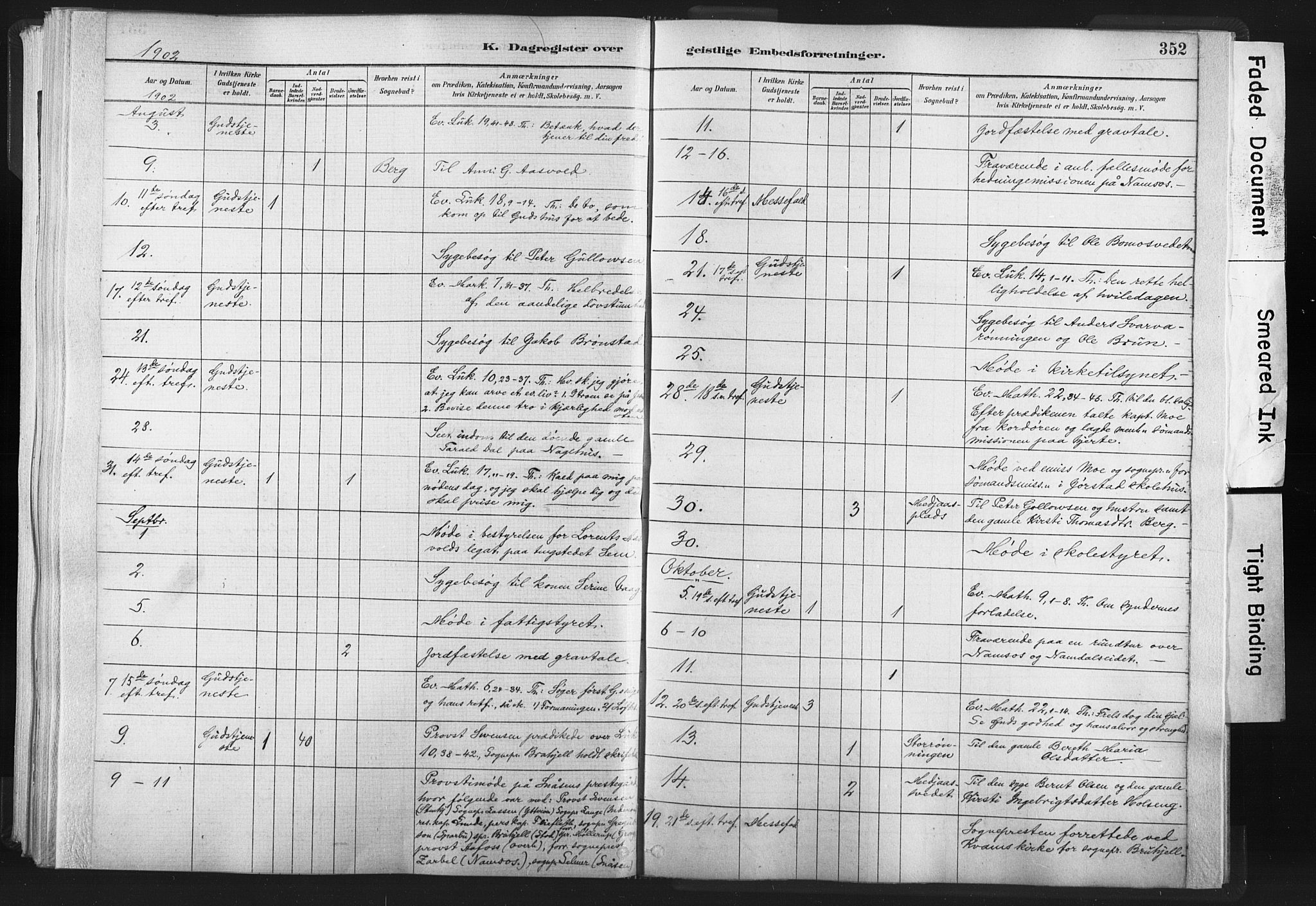 Ministerialprotokoller, klokkerbøker og fødselsregistre - Nord-Trøndelag, AV/SAT-A-1458/749/L0474: Parish register (official) no. 749A08, 1887-1903, p. 352