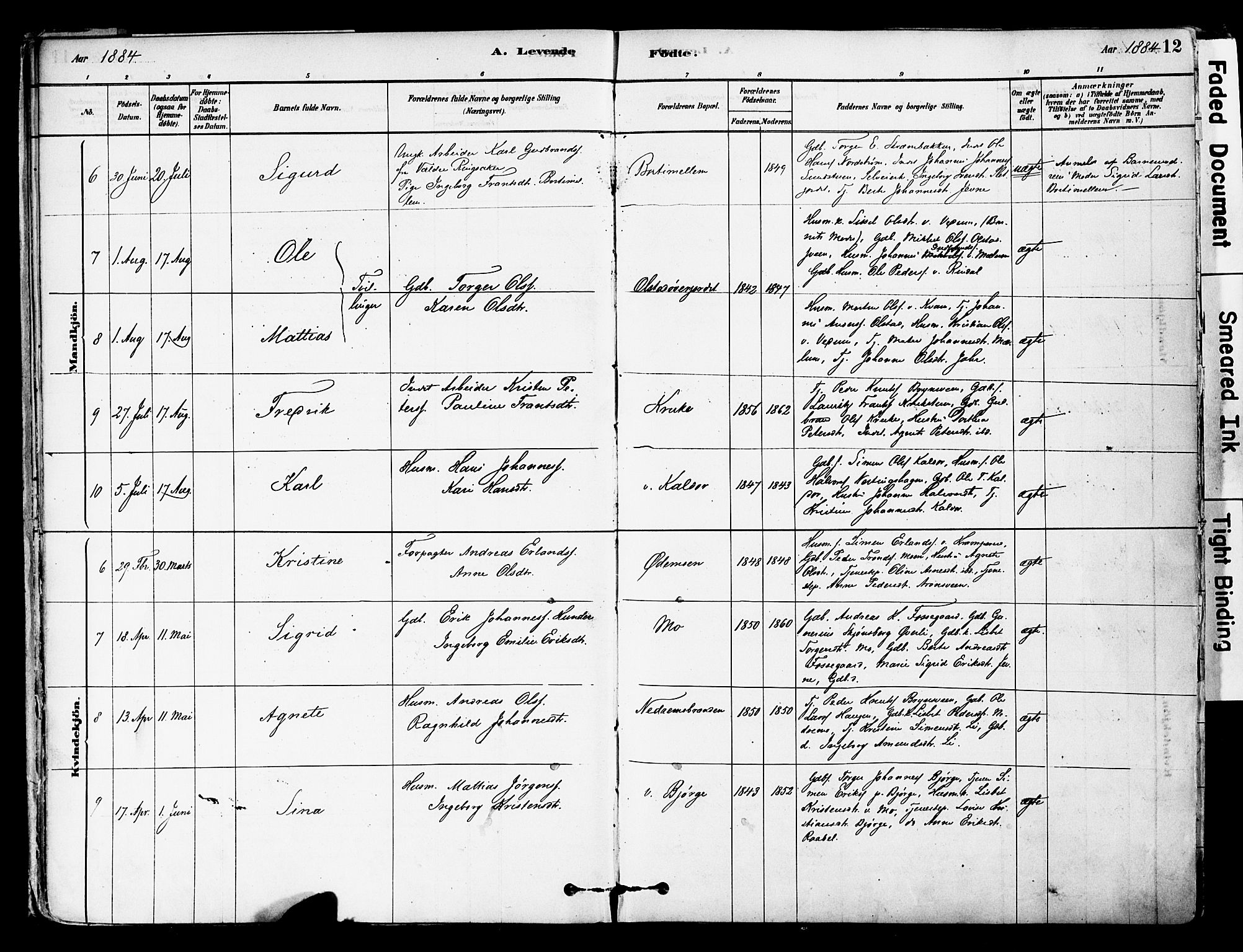 Øyer prestekontor, SAH/PREST-084/H/Ha/Haa/L0008: Parish register (official) no. 8, 1878-1897, p. 12