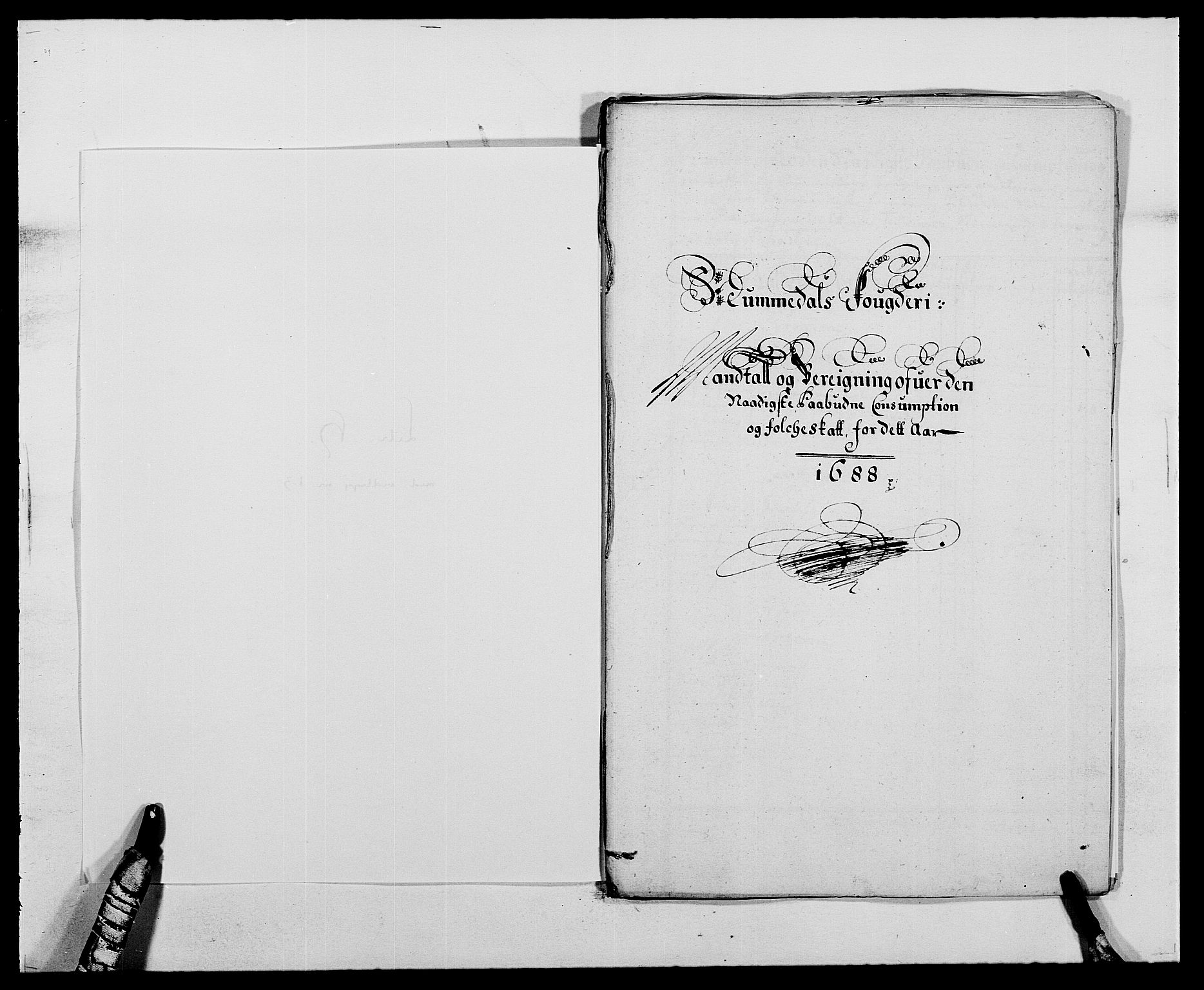 Rentekammeret inntil 1814, Reviderte regnskaper, Fogderegnskap, RA/EA-4092/R64/L4422: Fogderegnskap Namdal, 1687-1689, p. 123