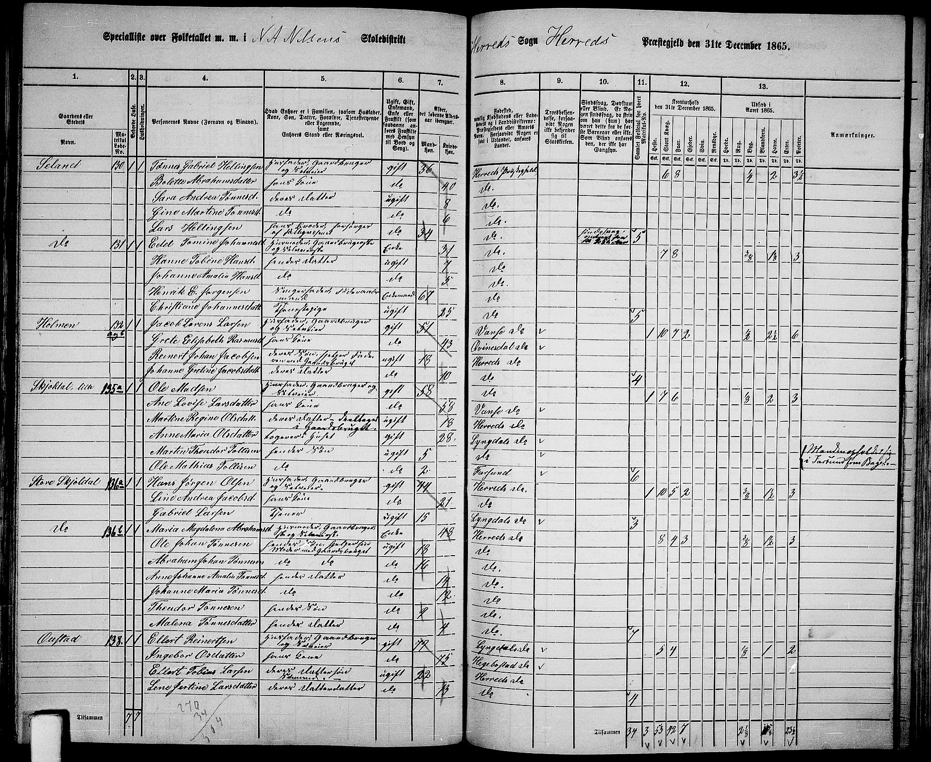 RA, 1865 census for Herad, 1865, p. 43