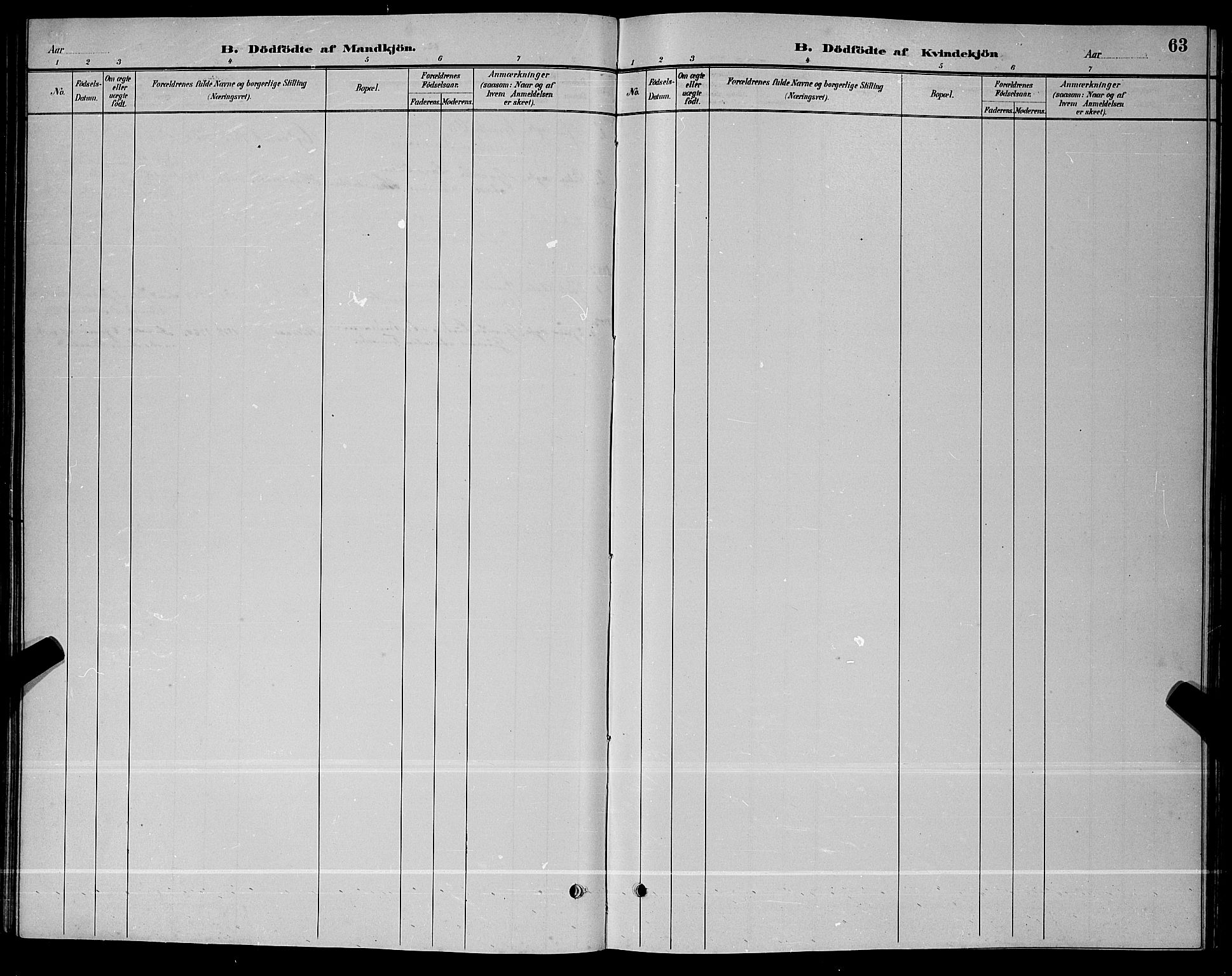 Nord-Audnedal sokneprestkontor, AV/SAK-1111-0032/F/Fb/Fbb/L0003: Parish register (copy) no. B 3, 1882-1900, p. 63