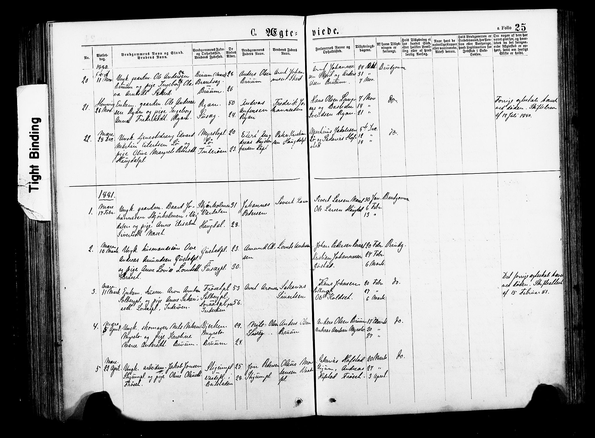 Ministerialprotokoller, klokkerbøker og fødselsregistre - Nord-Trøndelag, SAT/A-1458/735/L0348: Parish register (official) no. 735A09 /1, 1873-1883, p. 25