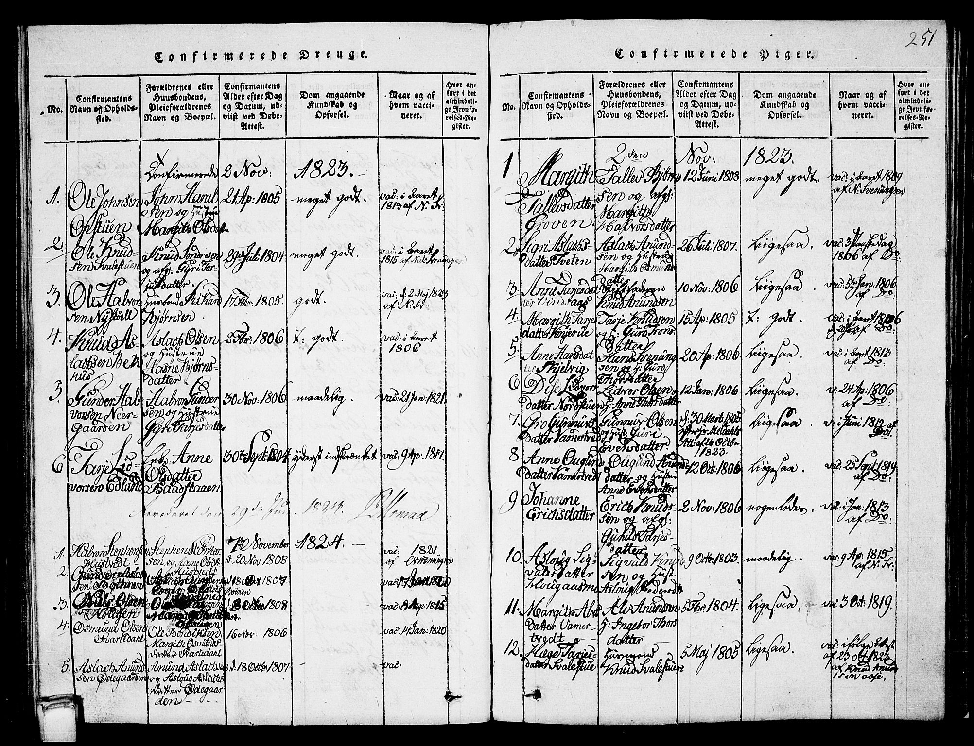 Vinje kirkebøker, SAKO/A-312/G/Ga/L0001: Parish register (copy) no. I 1, 1814-1843, p. 251