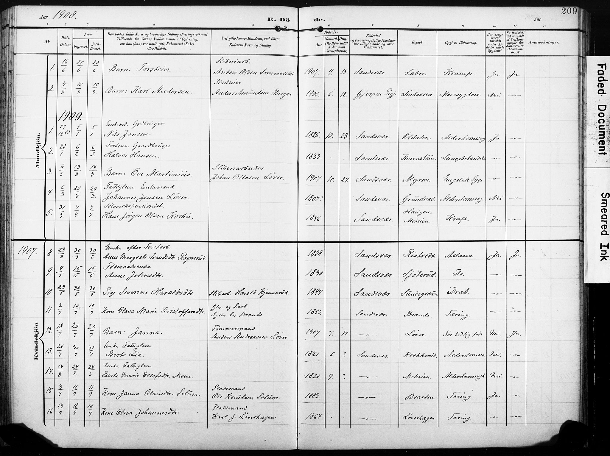 Sandsvær kirkebøker, AV/SAKO-A-244/G/Gd/L0004a: Parish register (copy) no. IV 4A, 1901-1932, p. 209