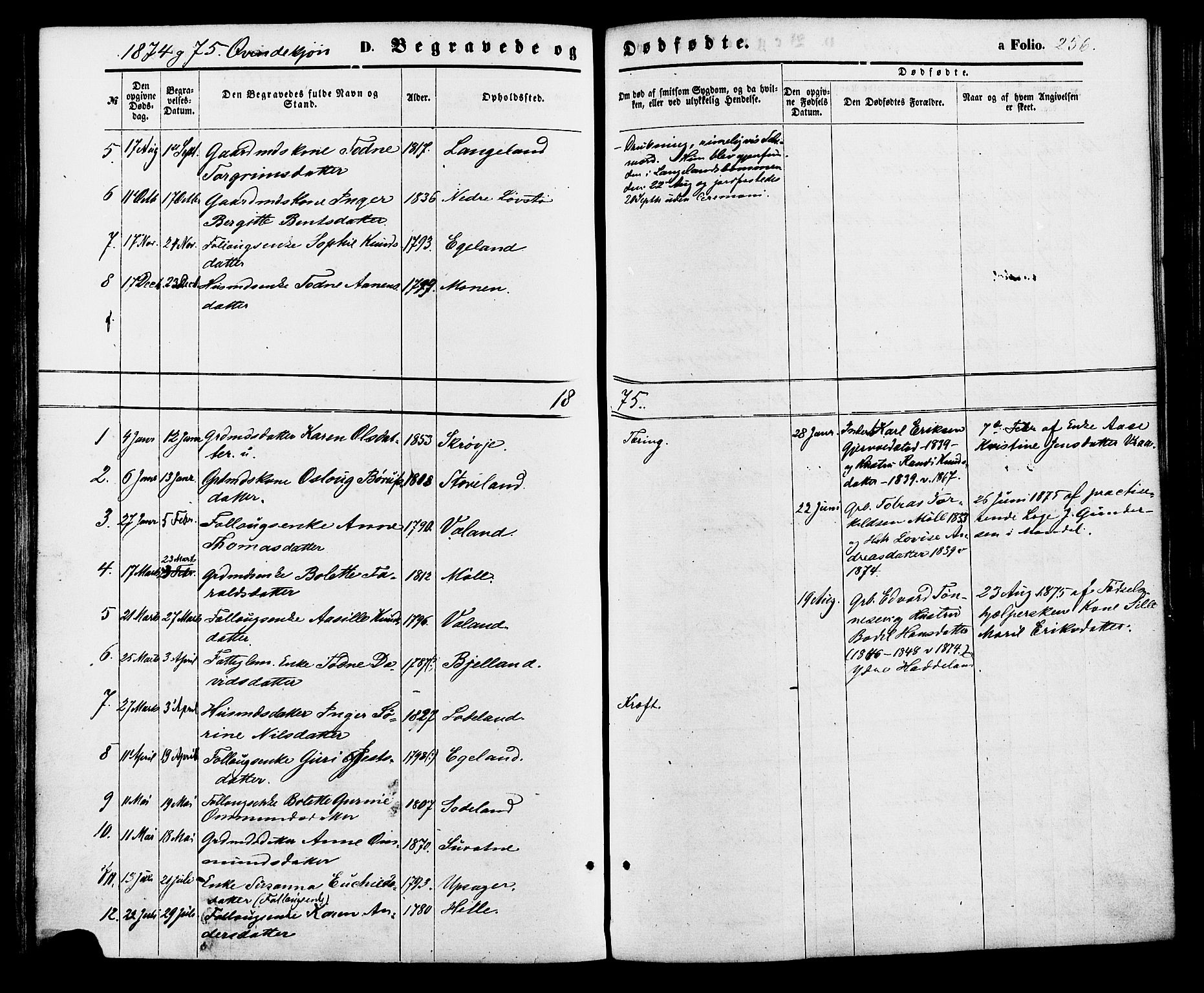 Holum sokneprestkontor, AV/SAK-1111-0022/F/Fa/Faa/L0006: Parish register (official) no. A 6, 1865-1883, p. 256