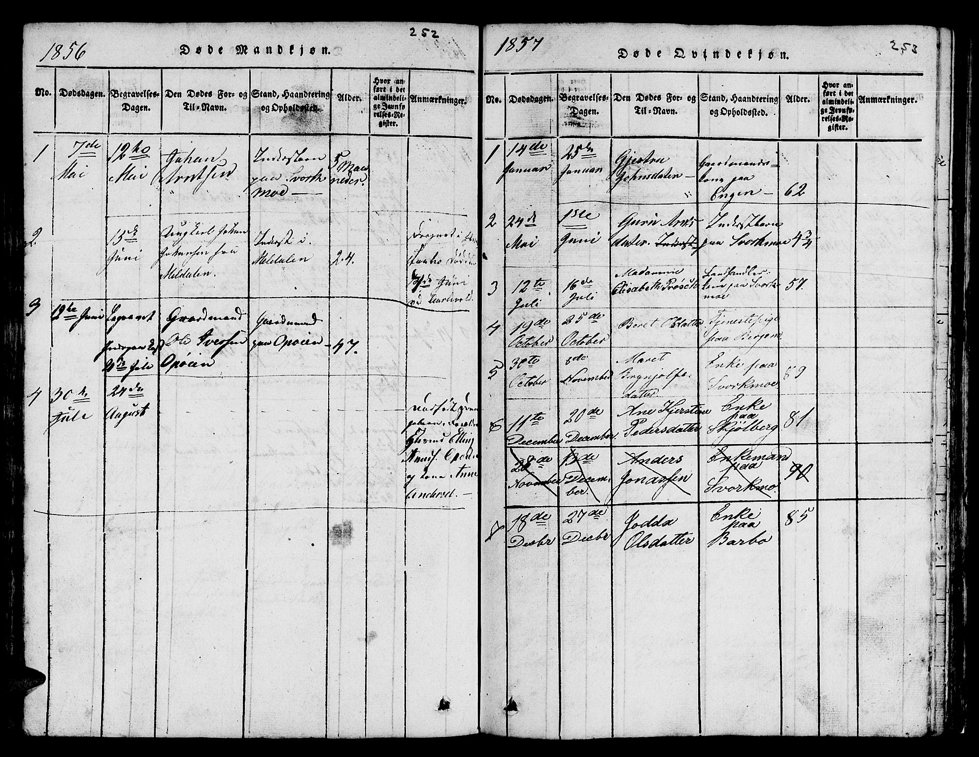 Ministerialprotokoller, klokkerbøker og fødselsregistre - Sør-Trøndelag, SAT/A-1456/671/L0842: Parish register (copy) no. 671C01, 1816-1867, p. 252-253