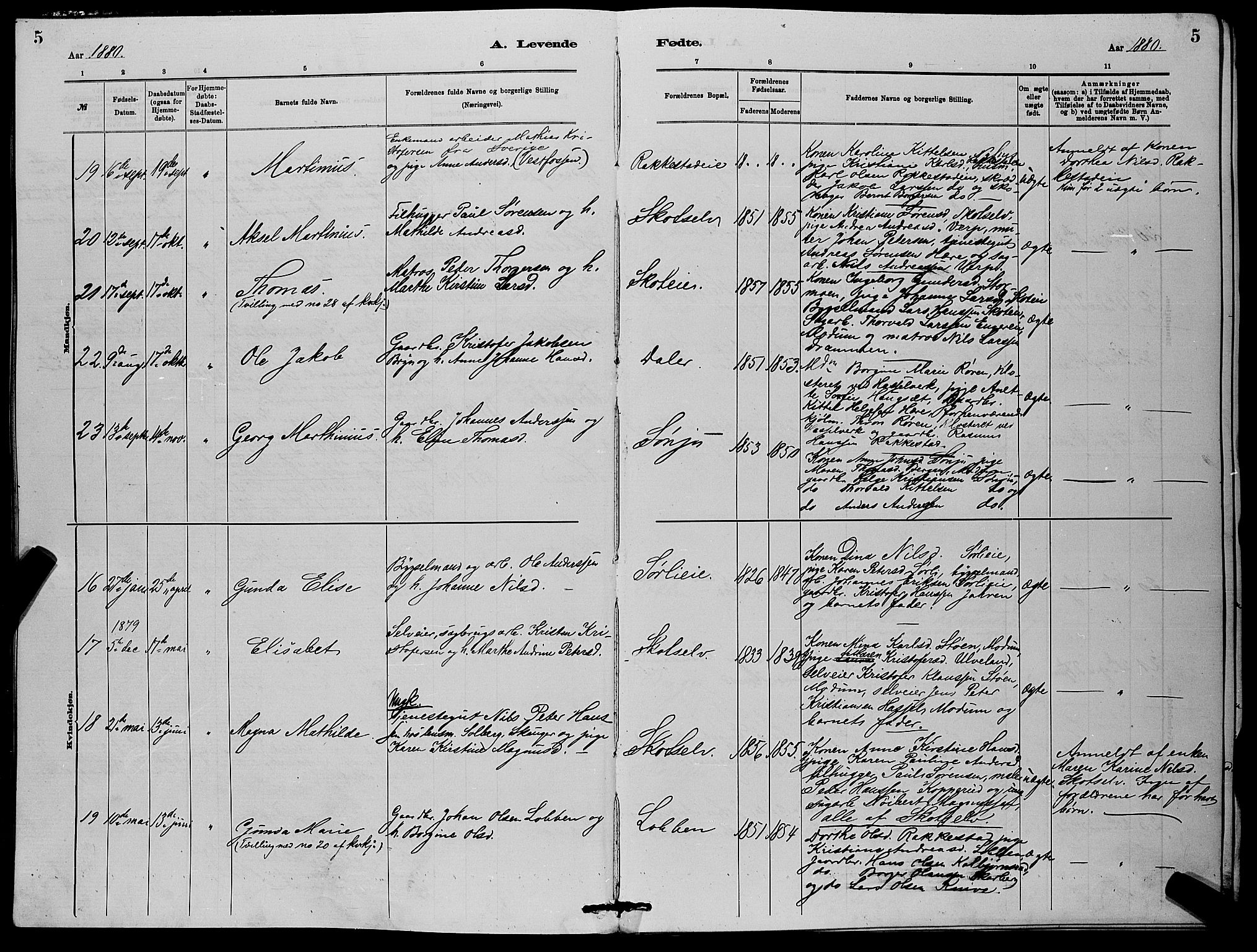 Eiker kirkebøker, AV/SAKO-A-4/G/Gb/L0003: Parish register (copy) no. II 3, 1880-1893, p. 5