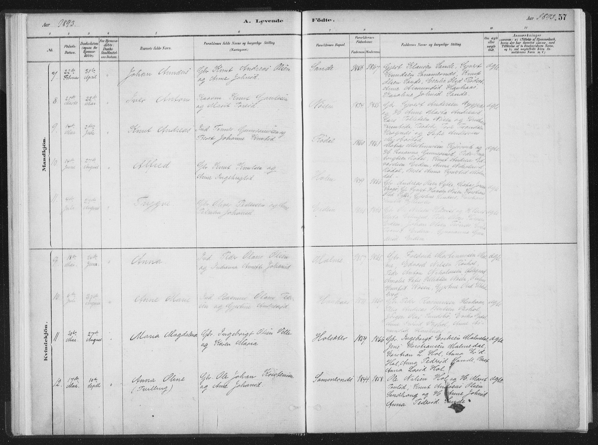 Ministerialprotokoller, klokkerbøker og fødselsregistre - Møre og Romsdal, AV/SAT-A-1454/564/L0740: Parish register (official) no. 564A01, 1880-1899, p. 57