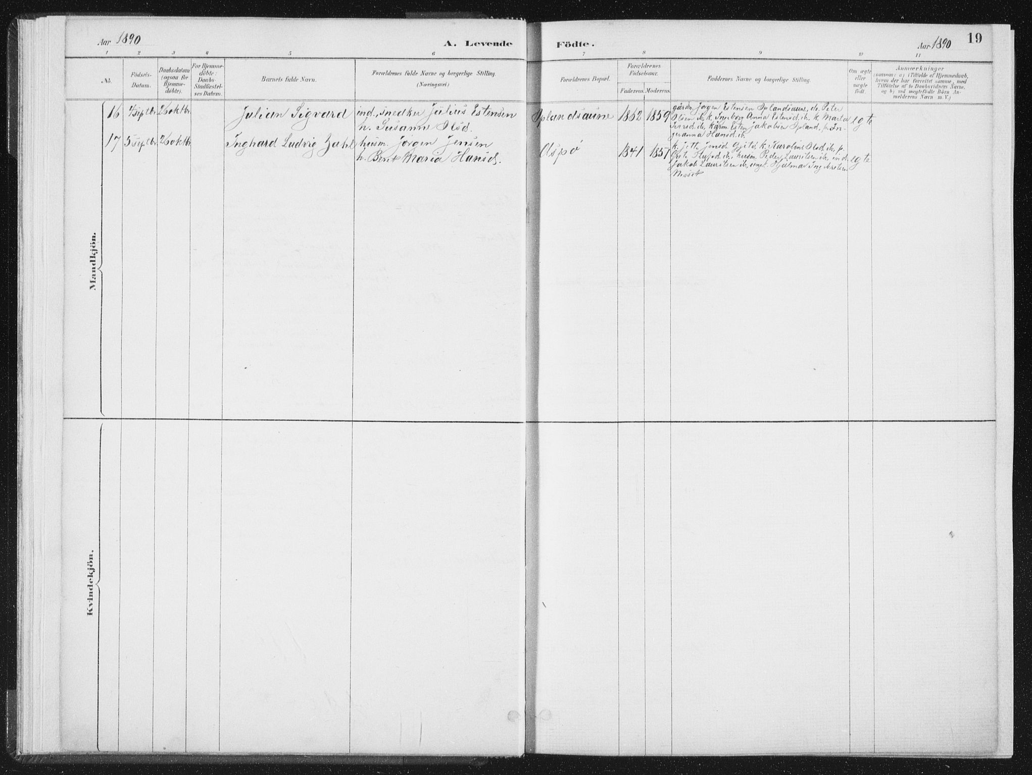 Ministerialprotokoller, klokkerbøker og fødselsregistre - Nord-Trøndelag, SAT/A-1458/771/L0597: Parish register (official) no. 771A04, 1885-1910, p. 19