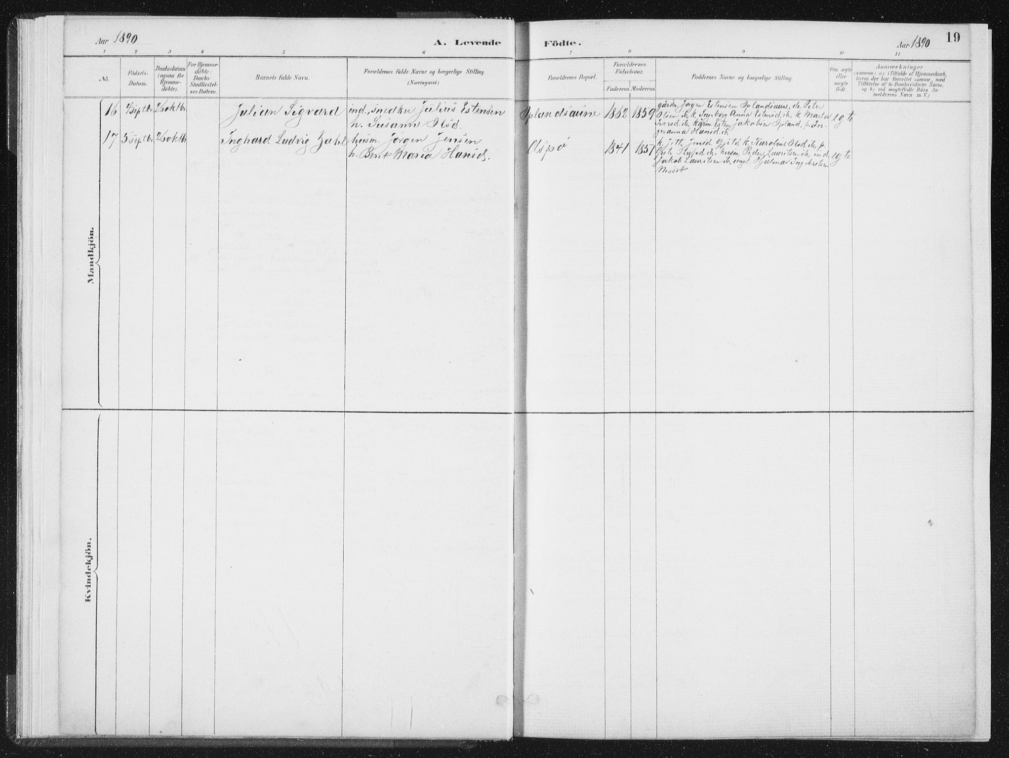 Ministerialprotokoller, klokkerbøker og fødselsregistre - Nord-Trøndelag, AV/SAT-A-1458/771/L0597: Parish register (official) no. 771A04, 1885-1910, p. 19