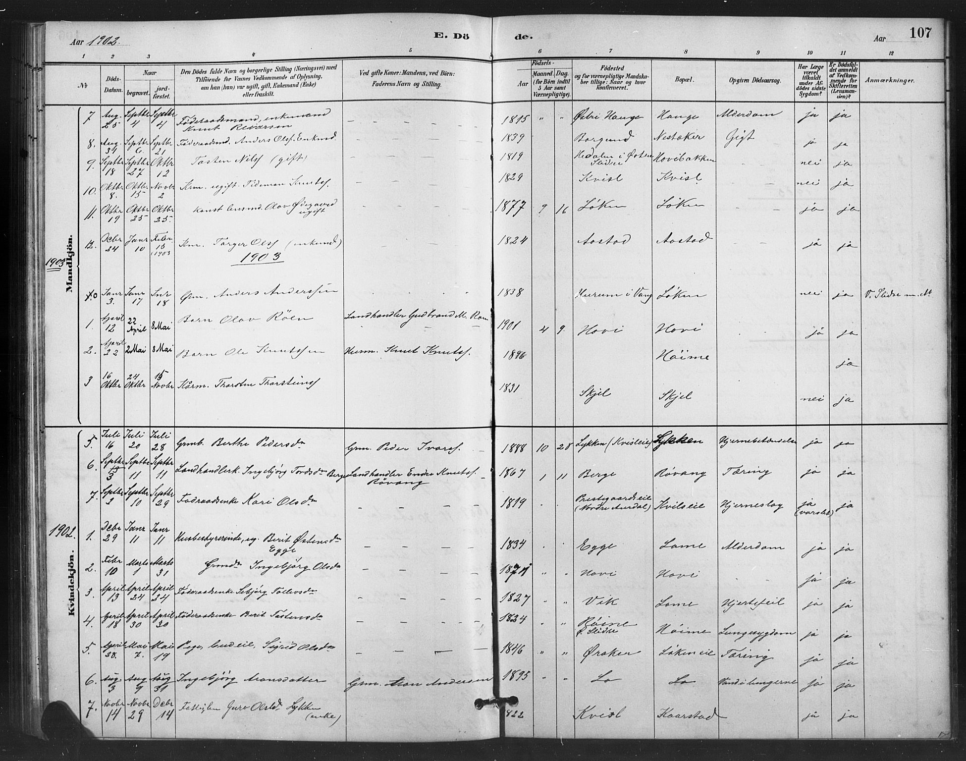 Vestre Slidre prestekontor, SAH/PREST-136/H/Ha/Hab/L0006: Parish register (copy) no. 6, 1881-1915, p. 107