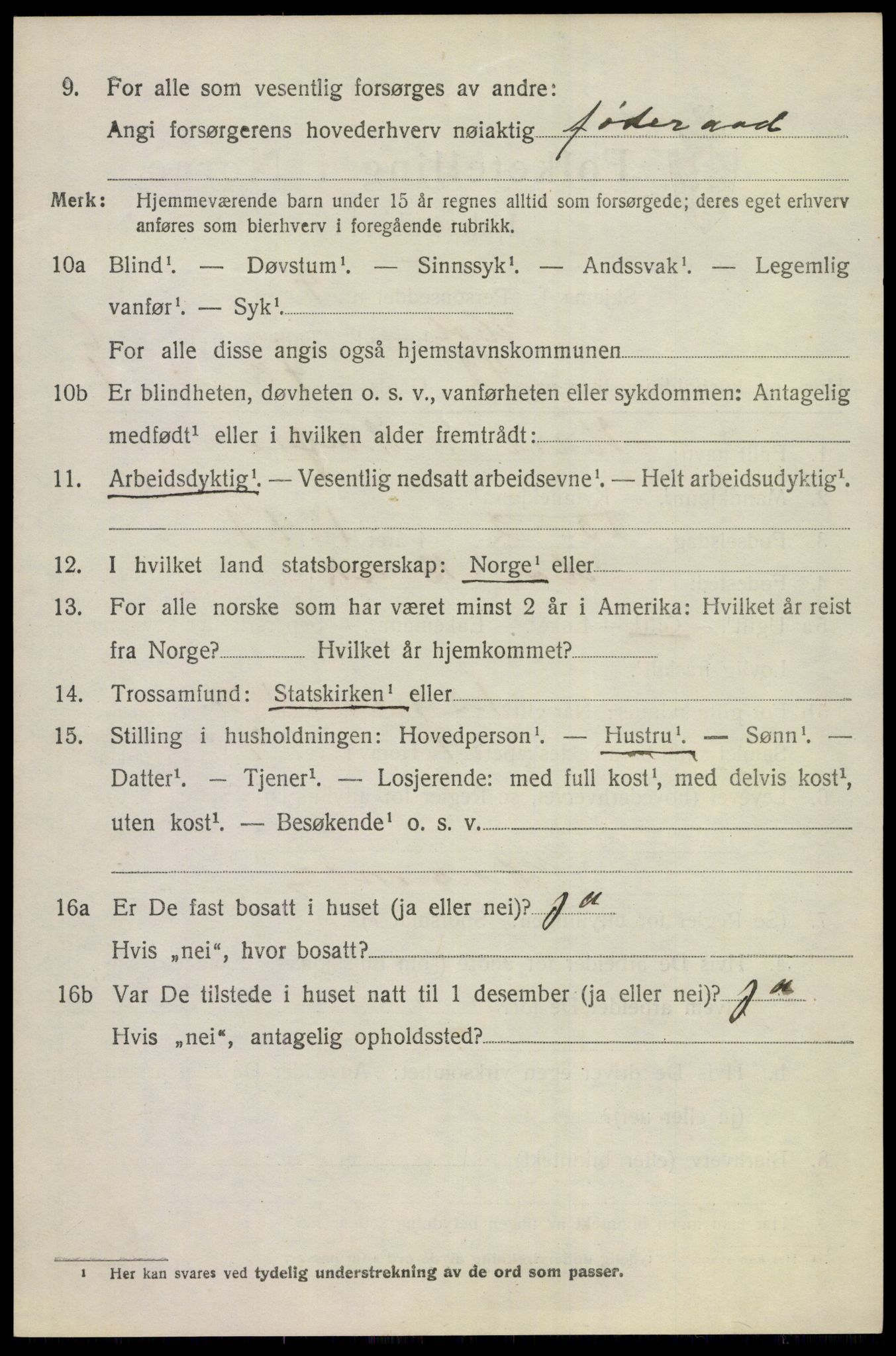 SAKO, 1920 census for Hol (Buskerud), 1920, p. 3504