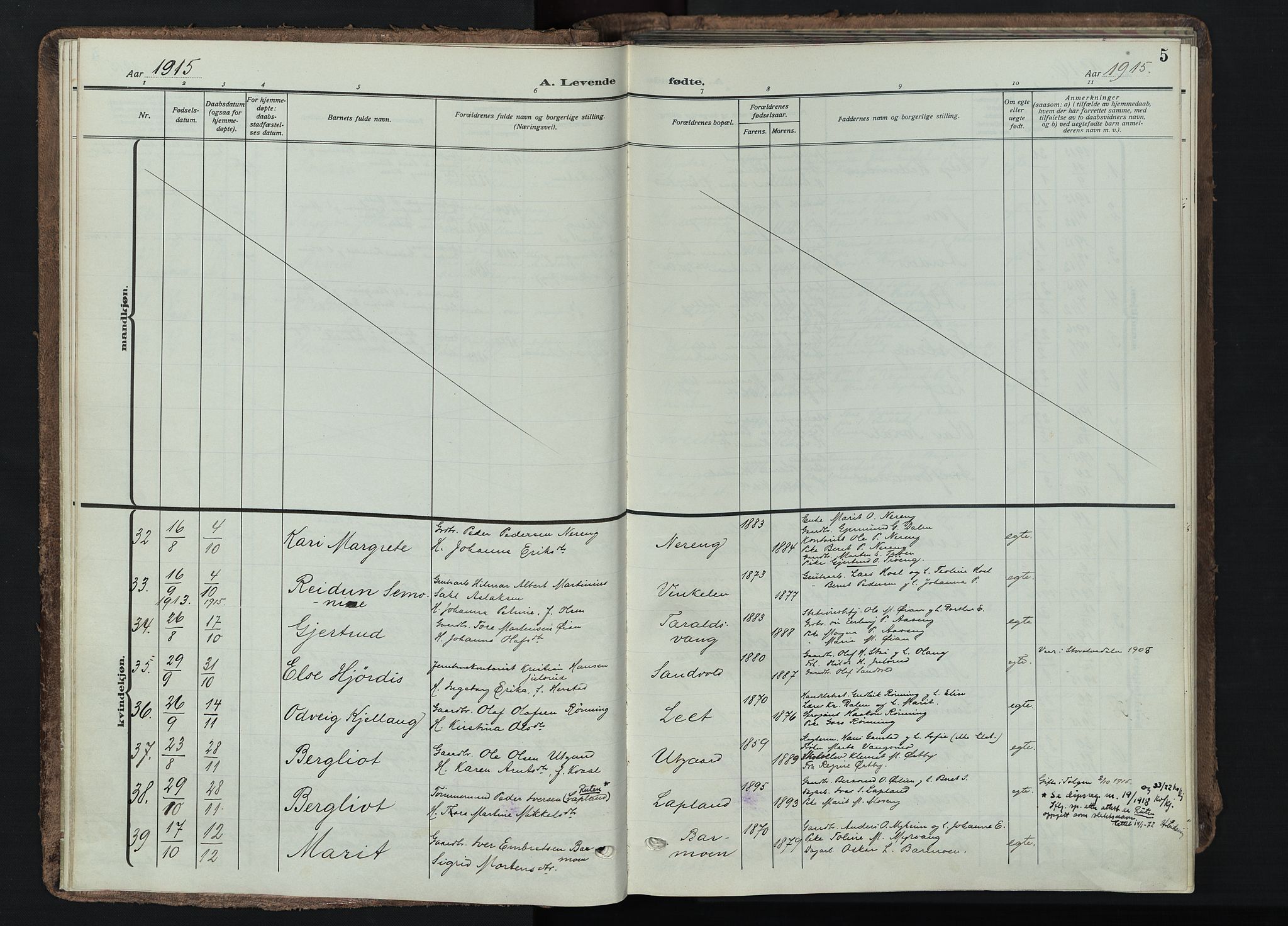 Tynset prestekontor, SAH/PREST-058/H/Ha/Haa/L0026: Parish register (official) no. 26, 1915-1929, p. 5