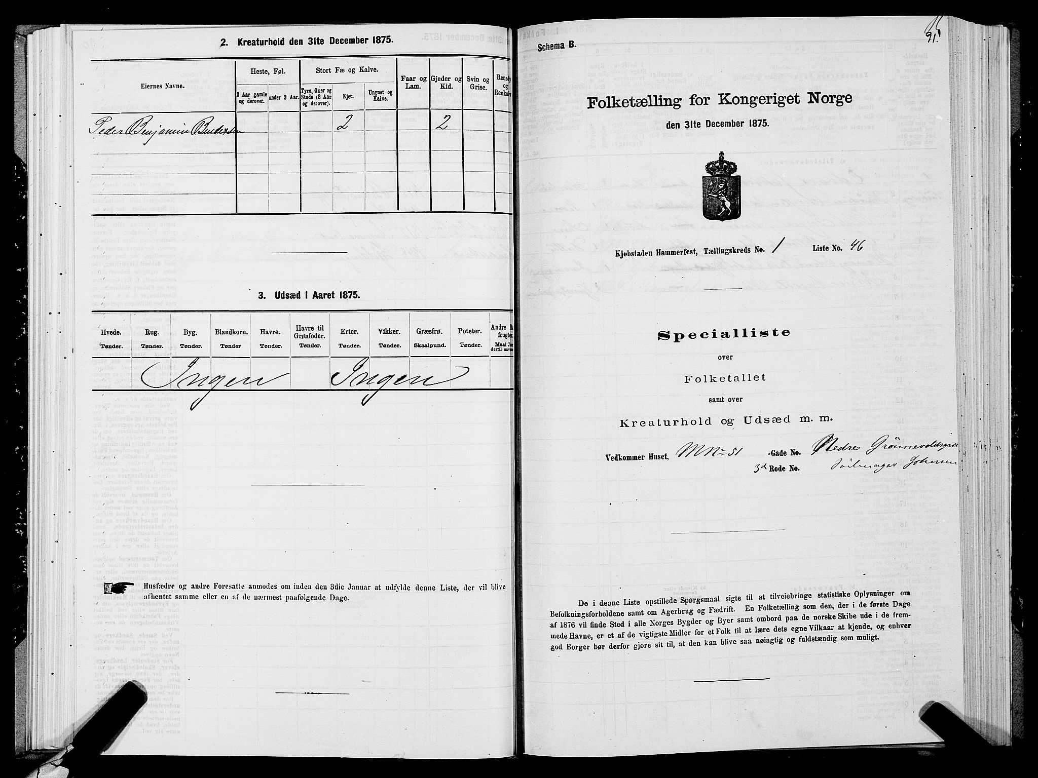 SATØ, 1875 census for 2001B Hammerfest/Hammerfest, 1875, p. 1091