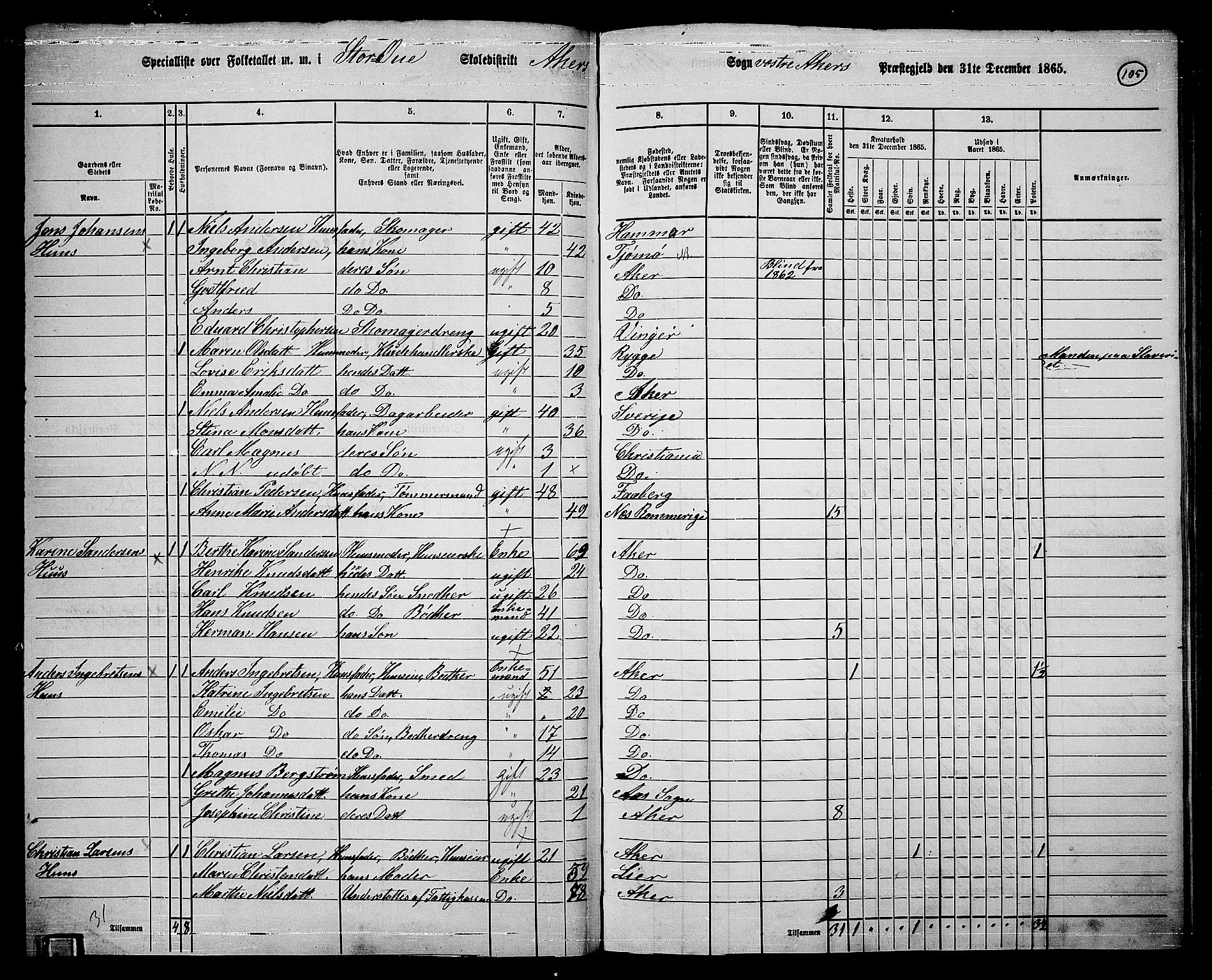 RA, 1865 census for Vestre Aker, 1865, p. 273