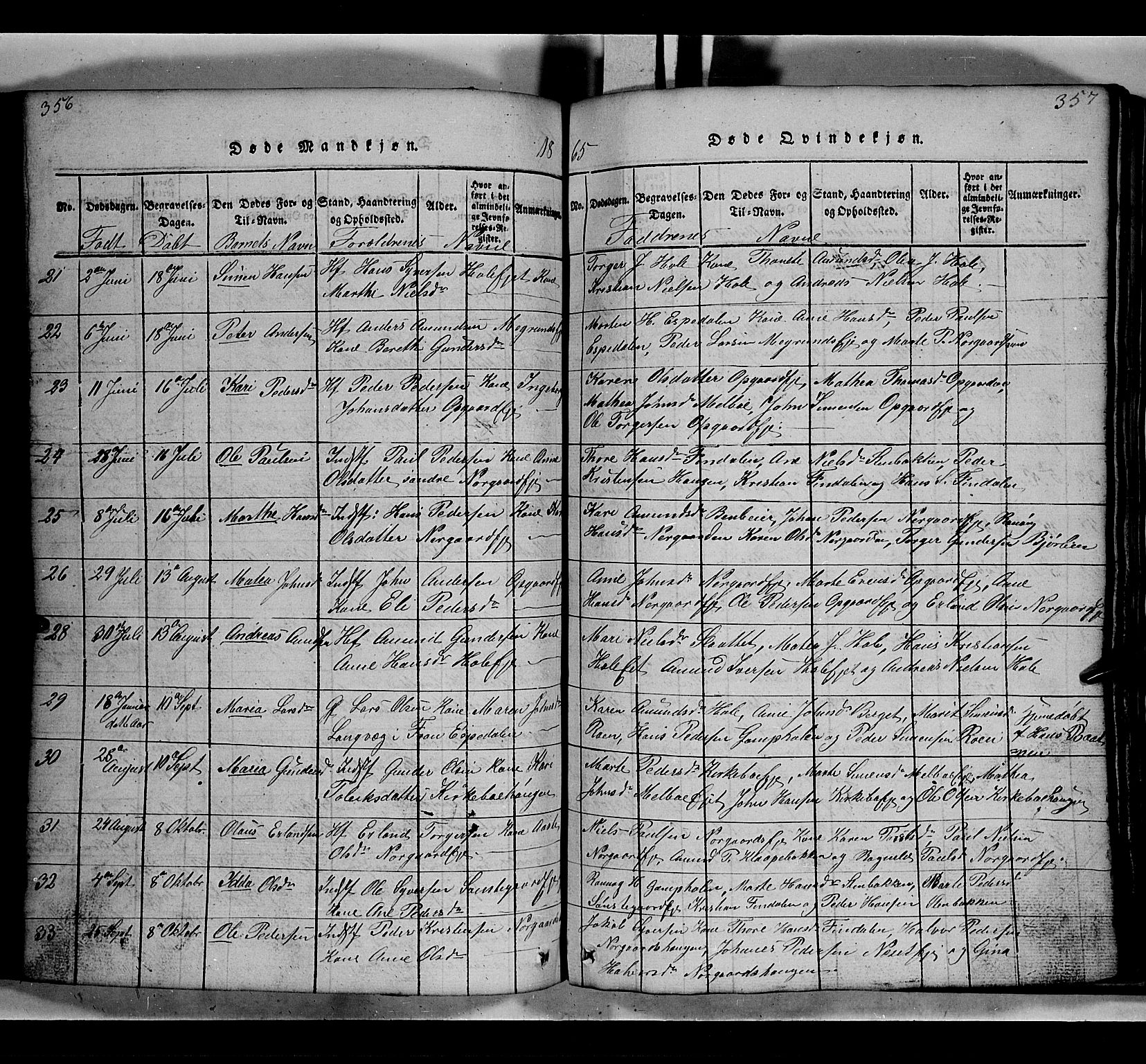 Gausdal prestekontor, SAH/PREST-090/H/Ha/Hab/L0002: Parish register (copy) no. 2, 1818-1874, p. 356-357