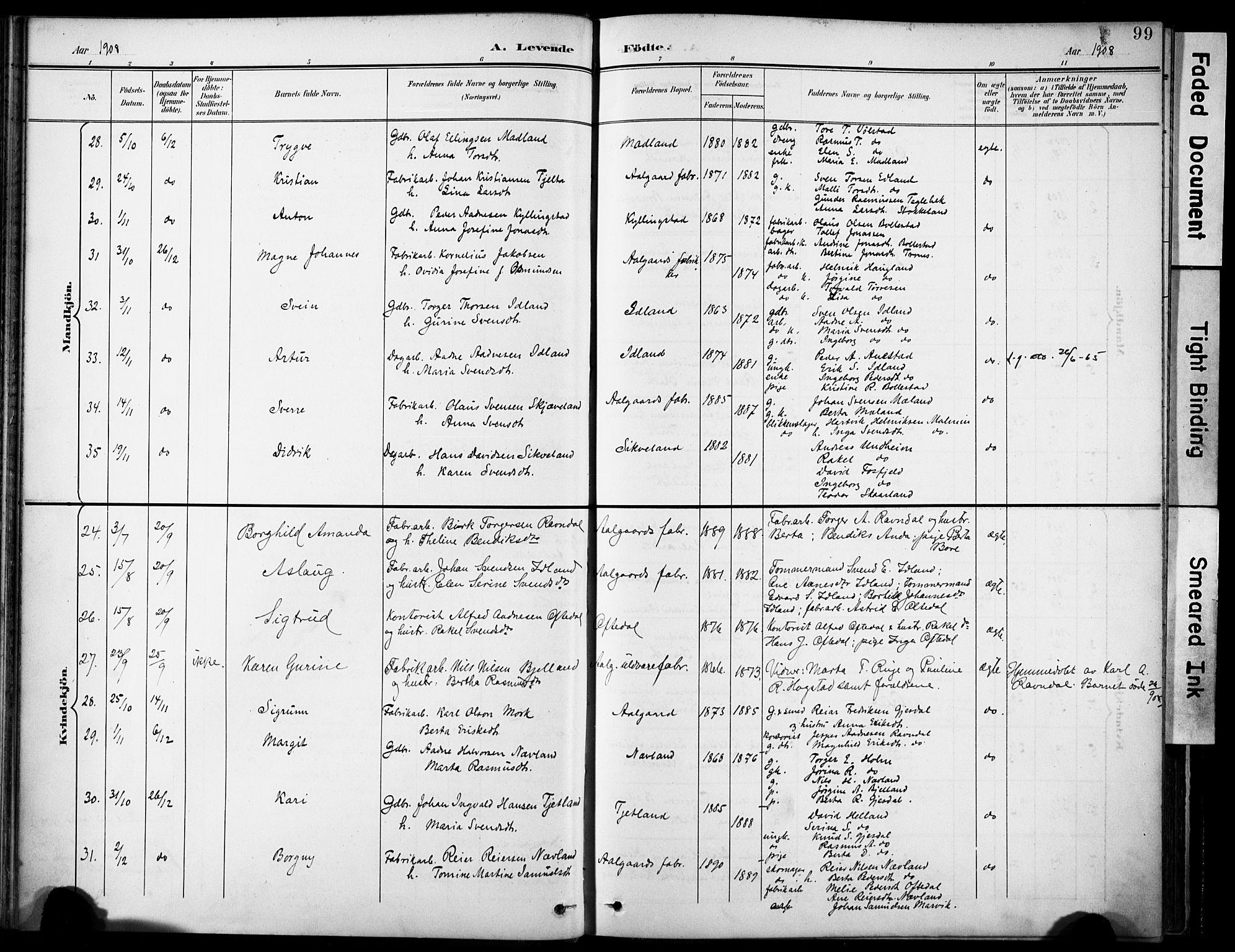 Lye sokneprestkontor, SAST/A-101794/001/30BA/L0012: Parish register (official) no. A 11, 1896-1909, p. 99